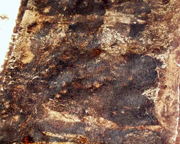 There is a great deal of variation simply from the application of the walnut ink to the paper.