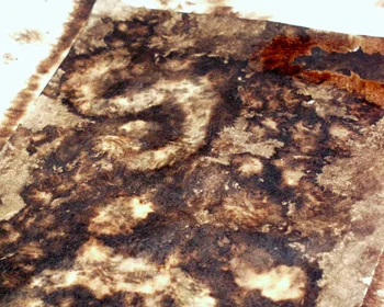 Walnut ink on Caba bark paper when dry.