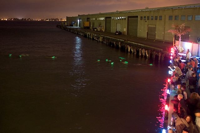 wda 2005 pier 23 swimmers exiting.jpg