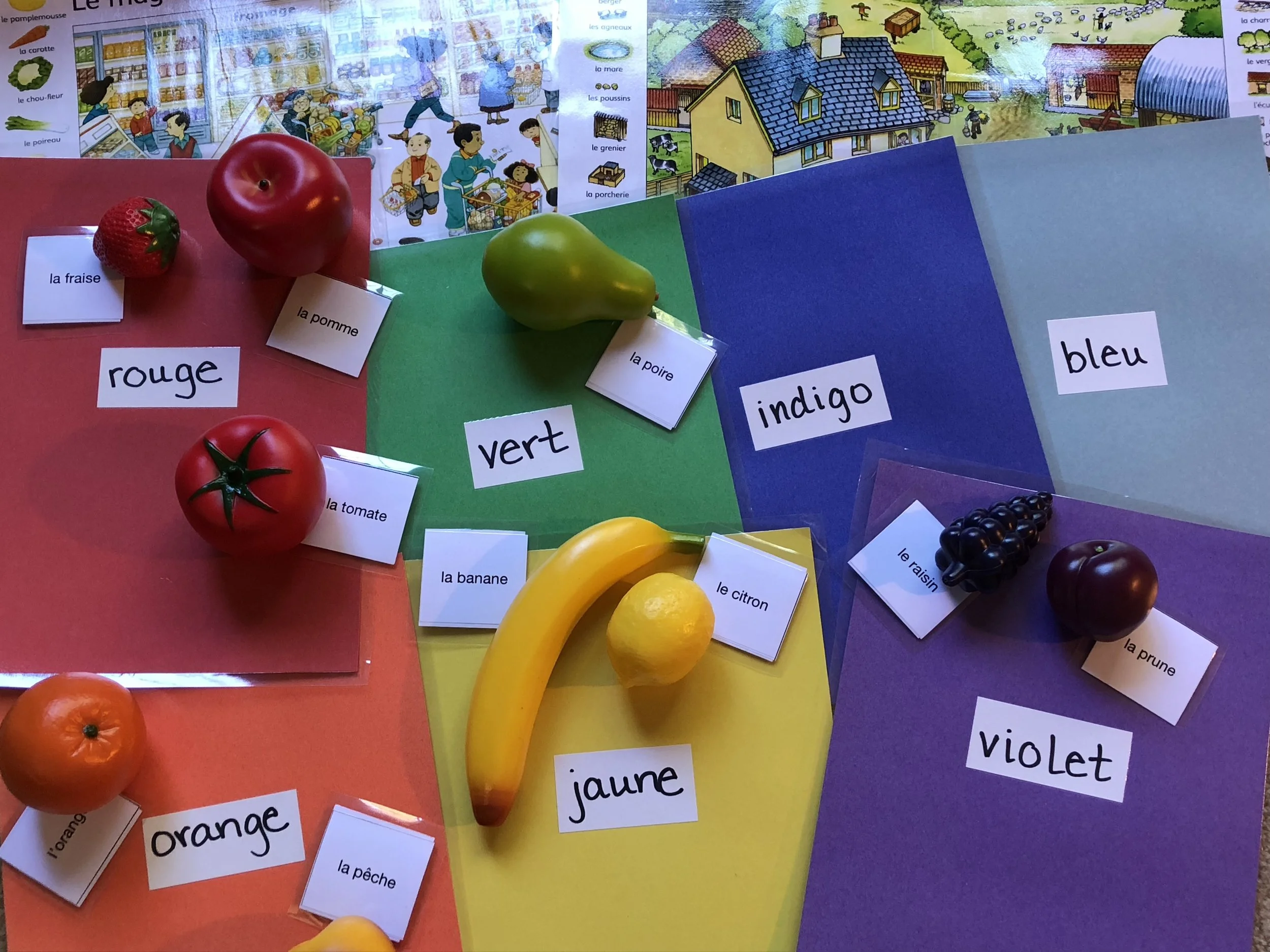 New French Teacher at Montessori Academy at Spring Valley