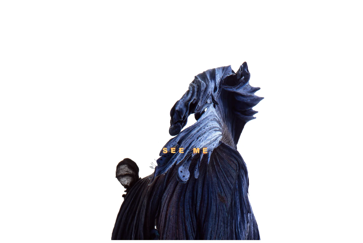 Banner_Test.jpg