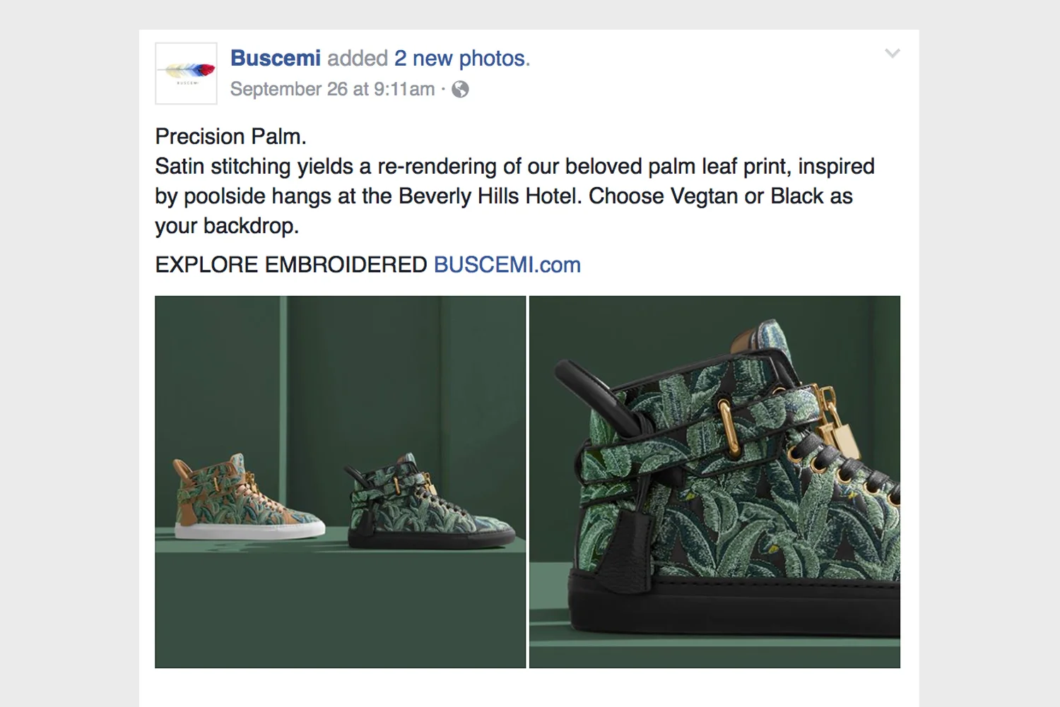 buscemi-project.jpg