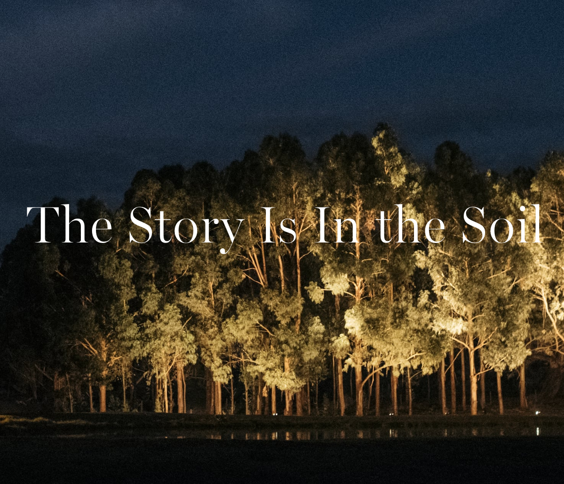 Headline for Bird in Hand winery’s About page , by C. Black Content