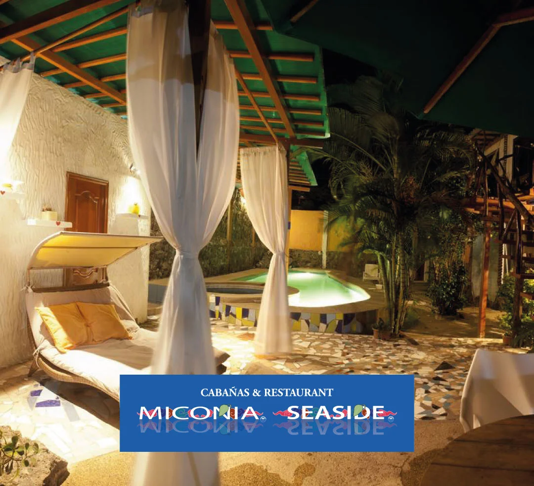 HOTEL-MICONIA.jpg