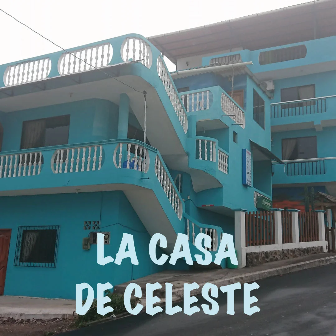 la-casa-de-celeste-II.jpg