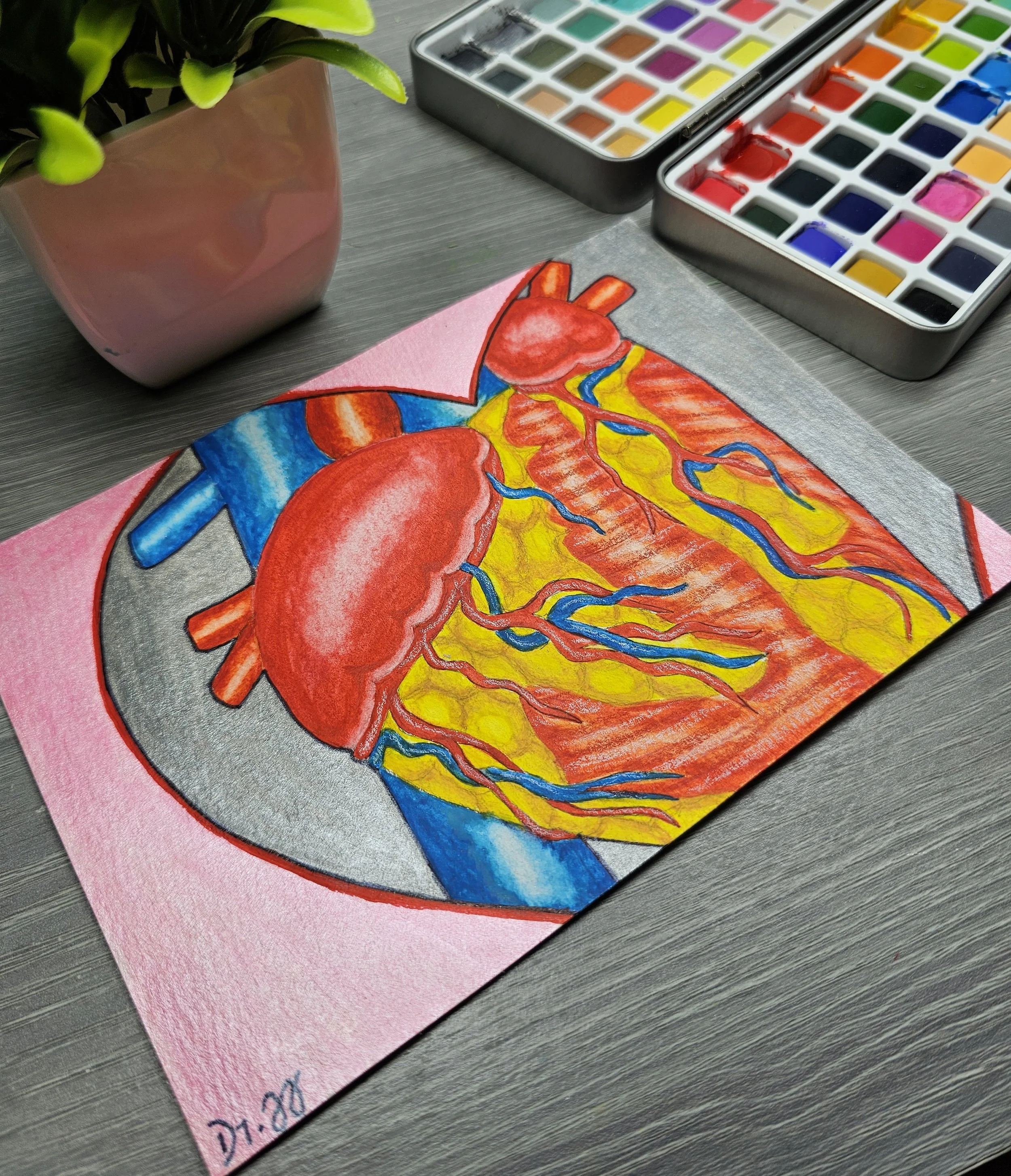 Colorful watercolor painting of a human heart on pink paper, next to watercolor paints in a metal tin and a green potted plant on a wooden surface.