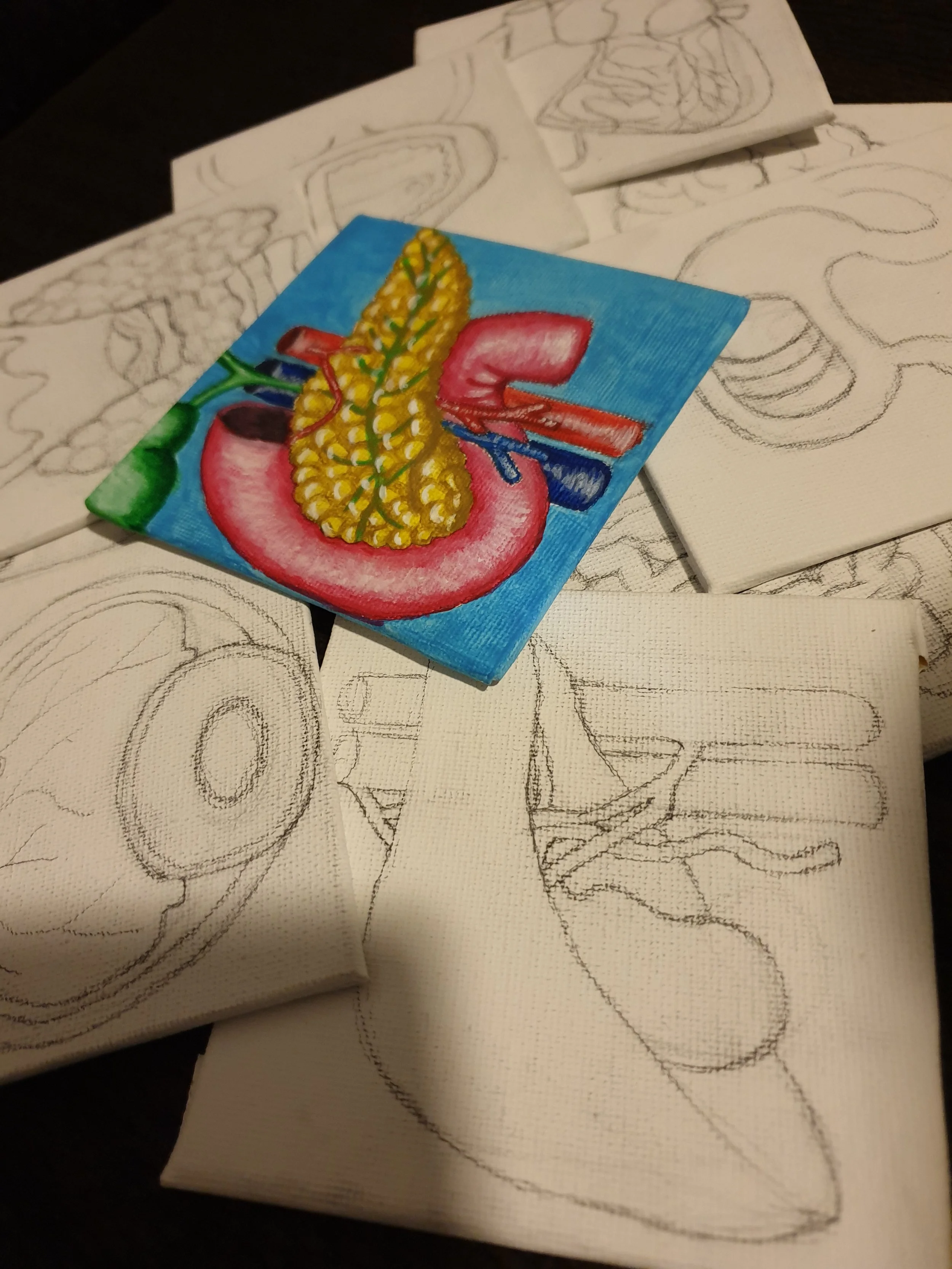 Colorful illustration of a pancreas on a bright blue background, placed on top of just-started pencil sketches of different human organs.
