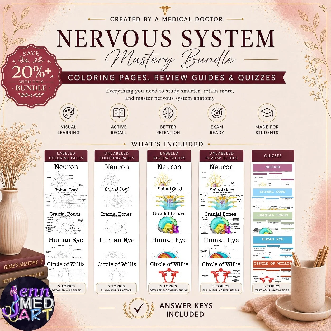 Nervous System Study Bundle | Anatomy Coloring Pages, Review Guides & Quizzes | DIGITAL PRODUCT