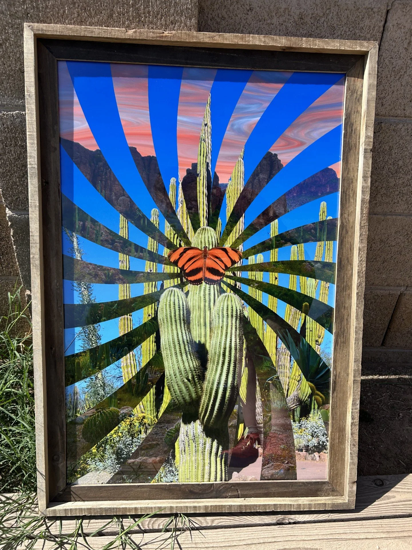 Cristina Vera - Radiate and Root.jpeg