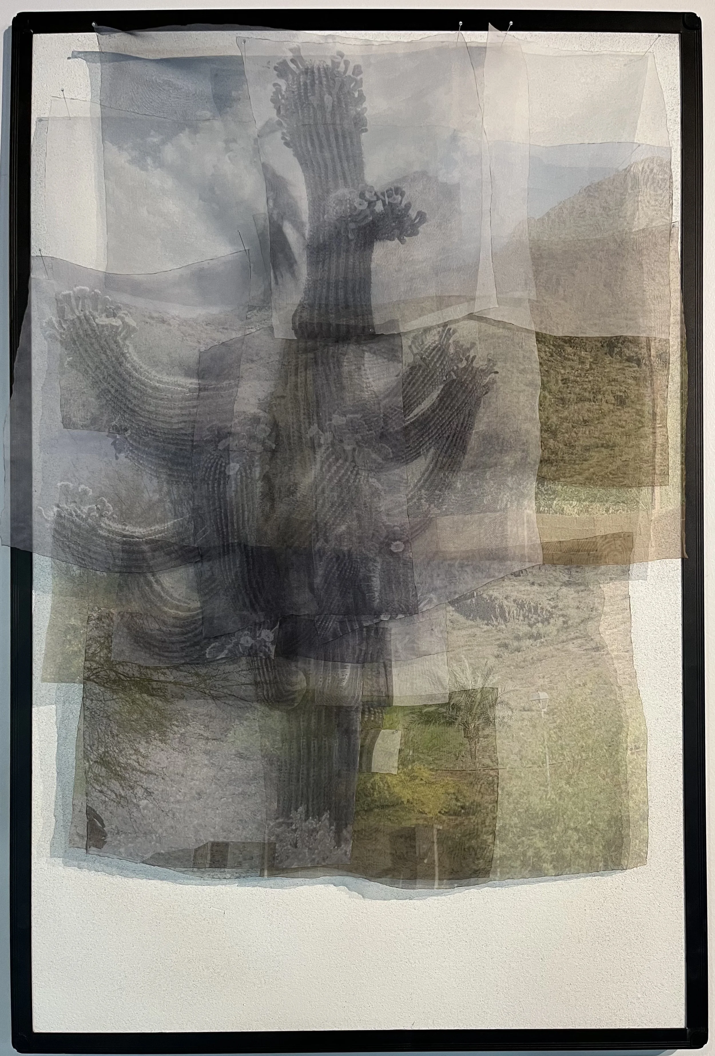 Cherie Buck Hutchison - Lookout Mountain .jpg