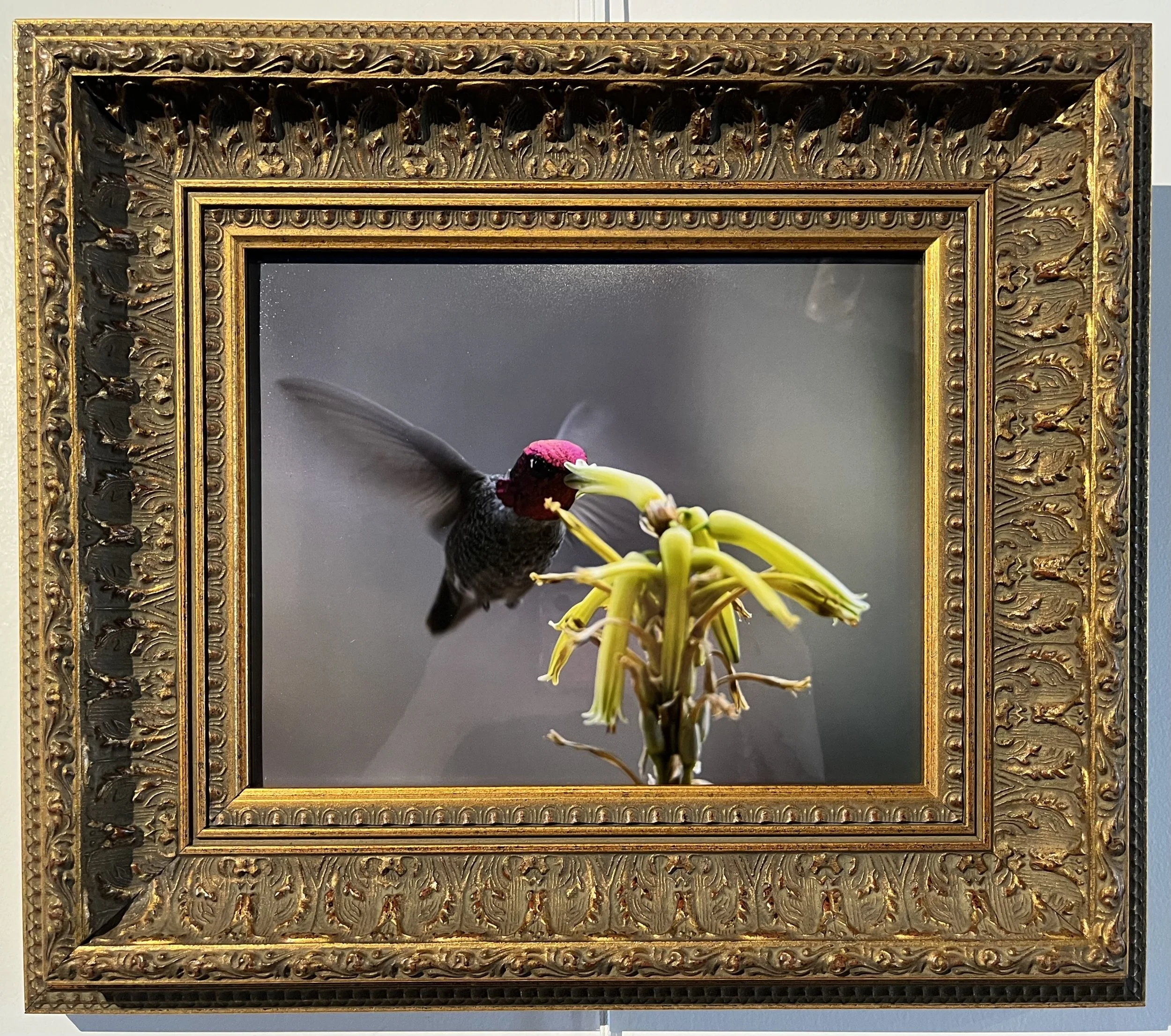 Jackie Marlowe - Jewel.jpg