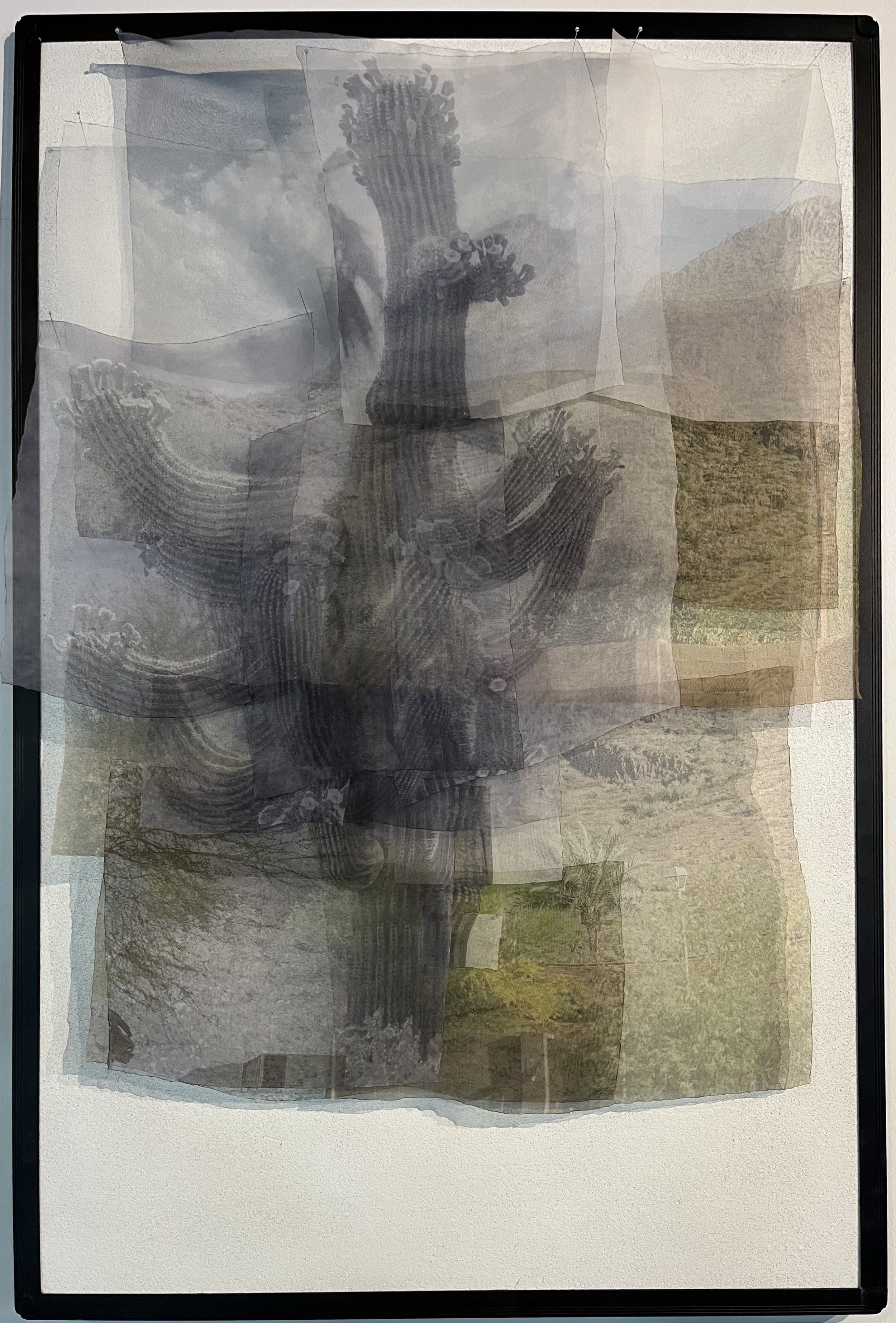 Cherie Buck Hutchison - Lookout Mountain .jpg