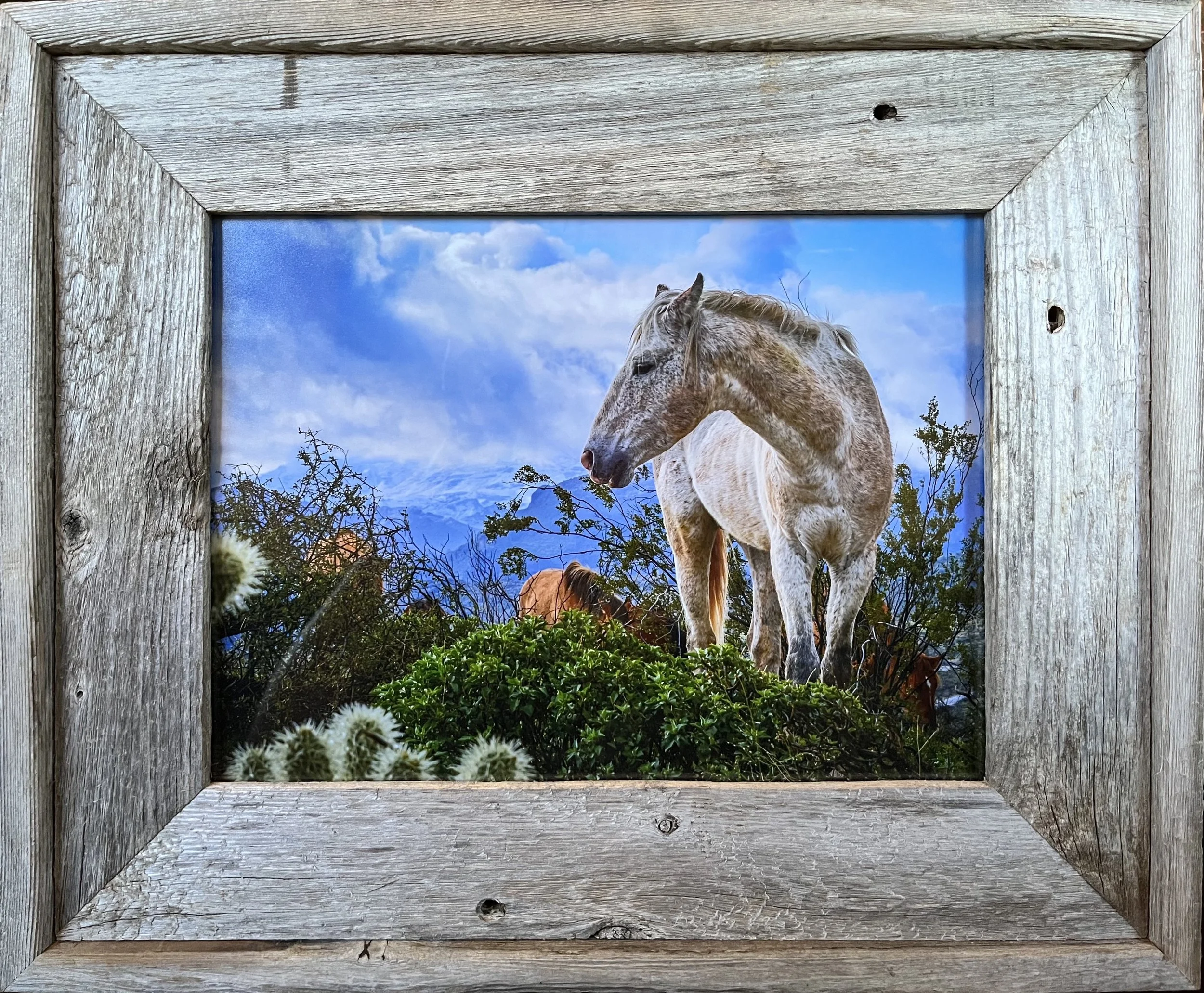 Jackie Marlowe - La Reve (Barnwood).jpg