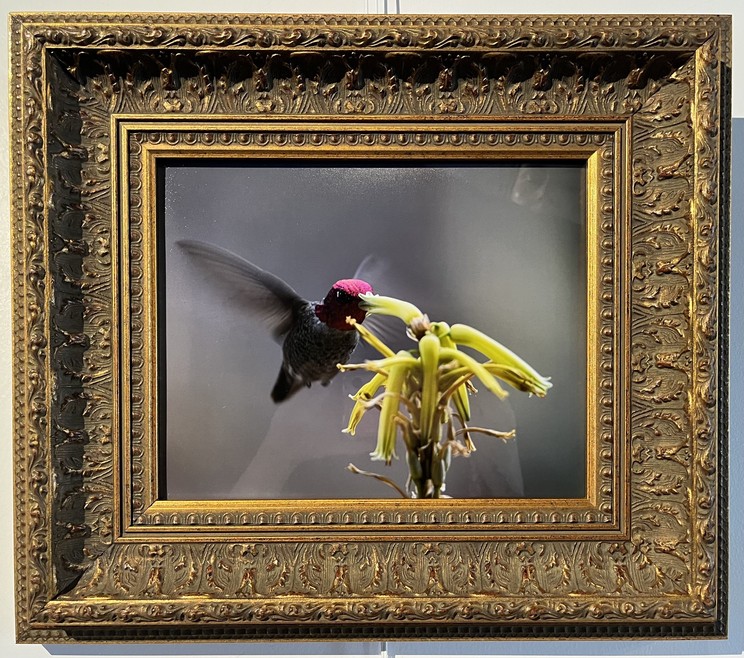 Jackie Marlowe - Jewel.jpg