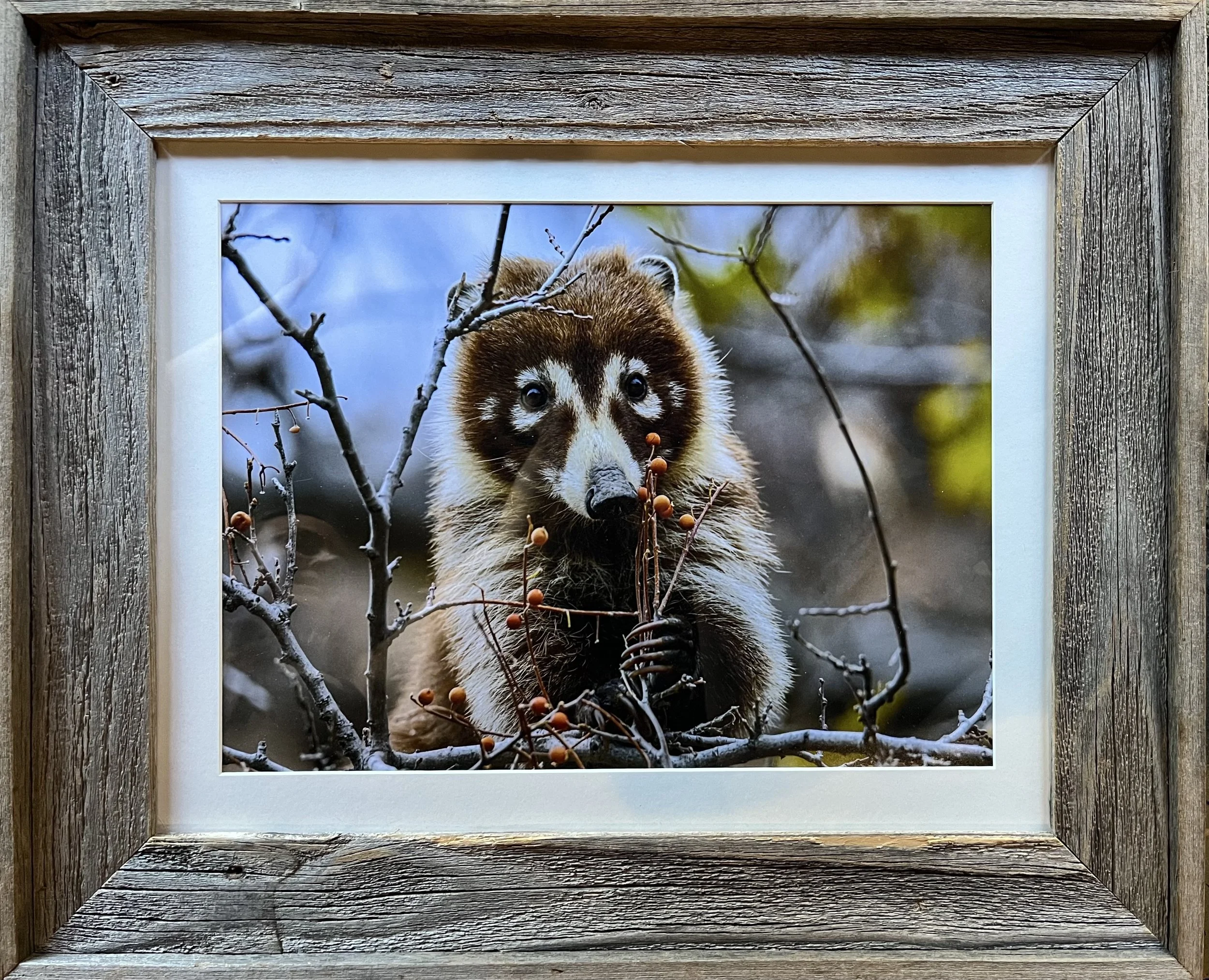 Jackie Marlowe - For You (Barnwood).jpg