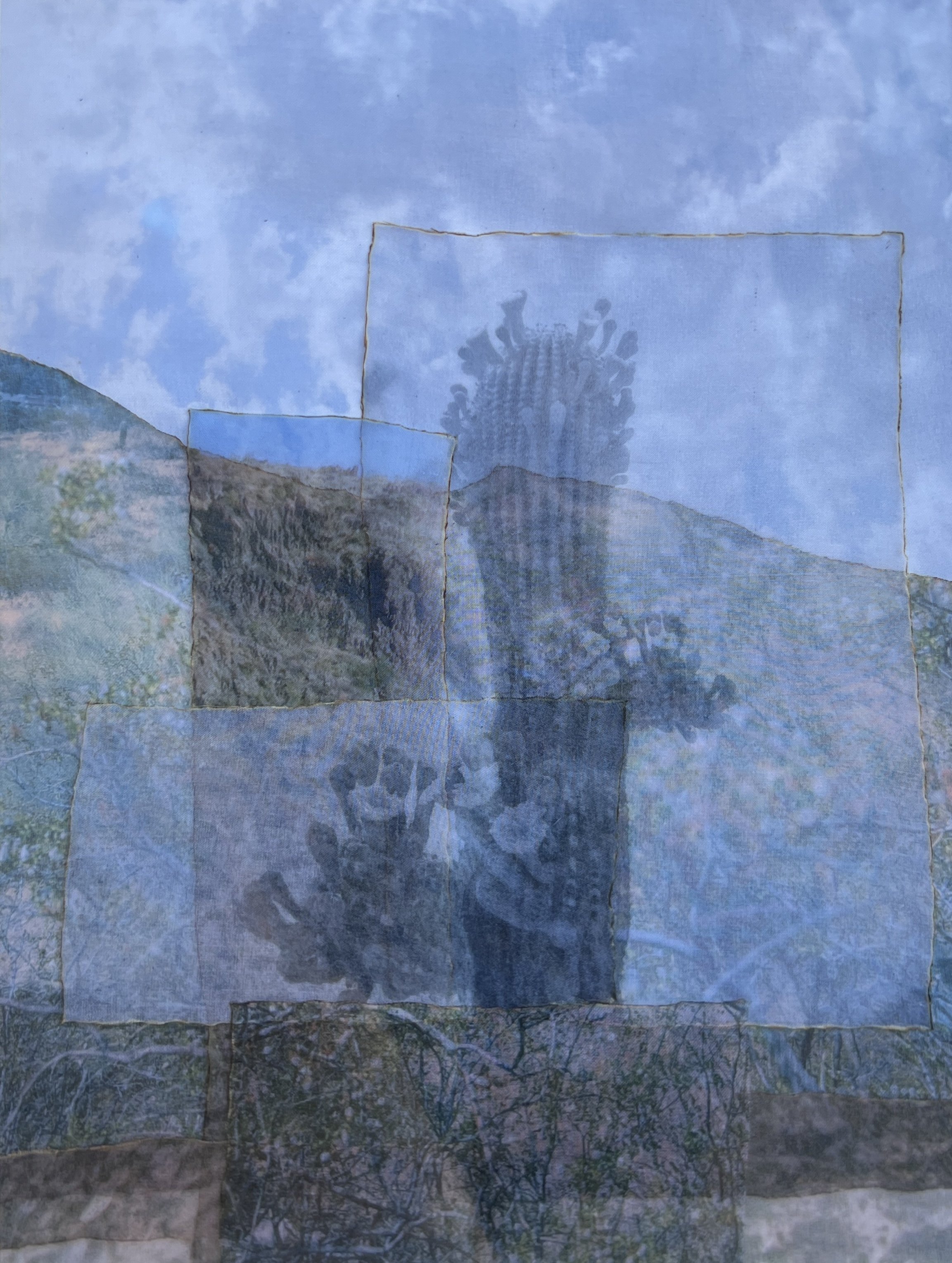 Cherie -Desert Coronas.jpeg