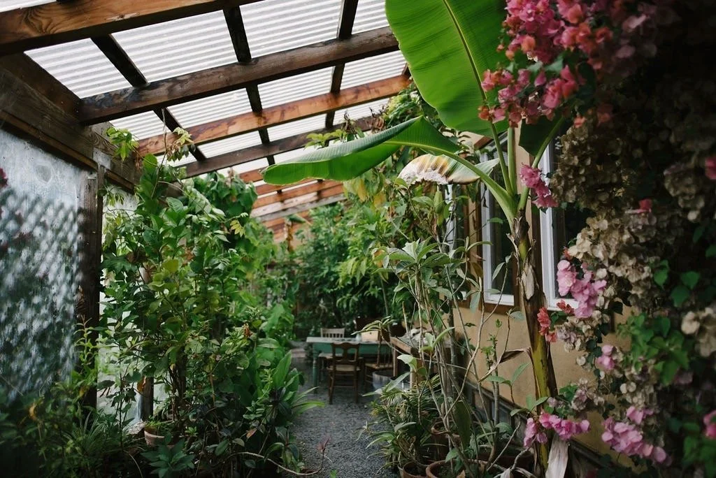Solarium 2.jpeg