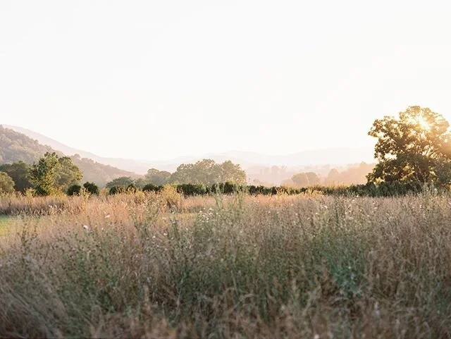 &rdquo;you have received the Spirit of adoption as sons, by whom we cry, &quot;Abba! Father!&quot; The Spirit himself bears witness with our spirit that we are children of God,&rdquo; ⁣
⁣
Romans‬ ‭8:15-16‬ ‭⁣
⁣
_________________⁣
⁣
⁣
#mint