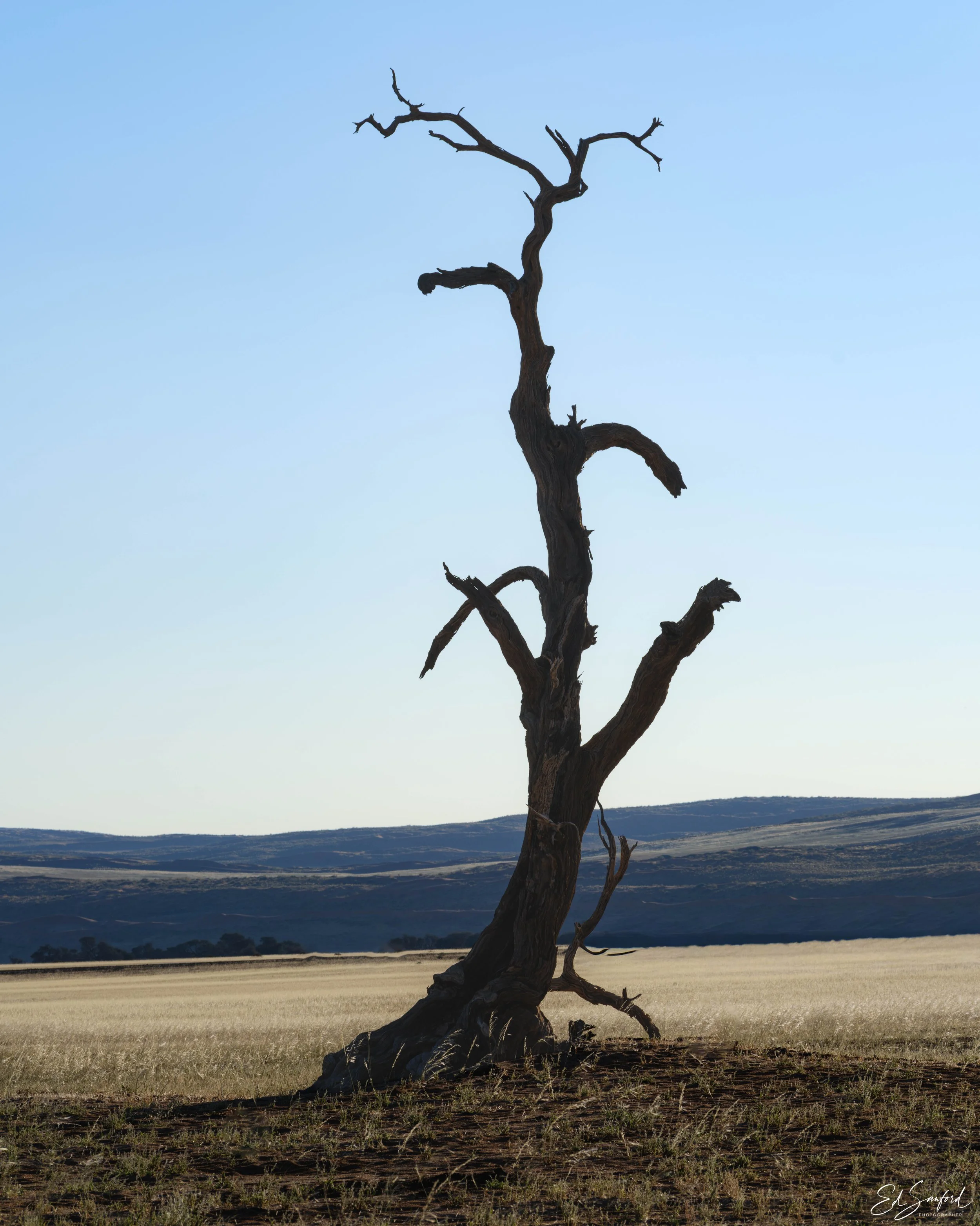 Dead Valley.jpg