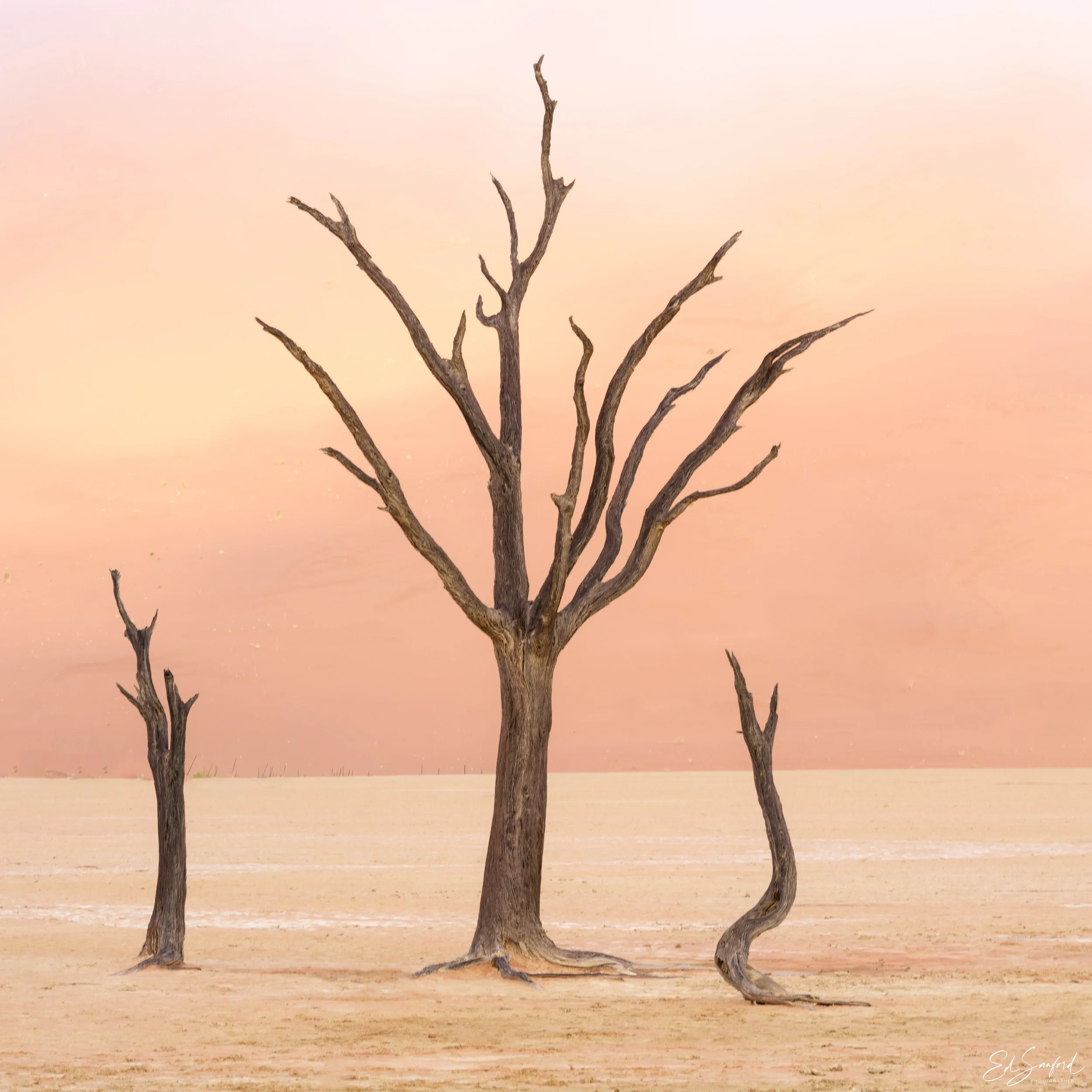 Dead Valley-17.jpg