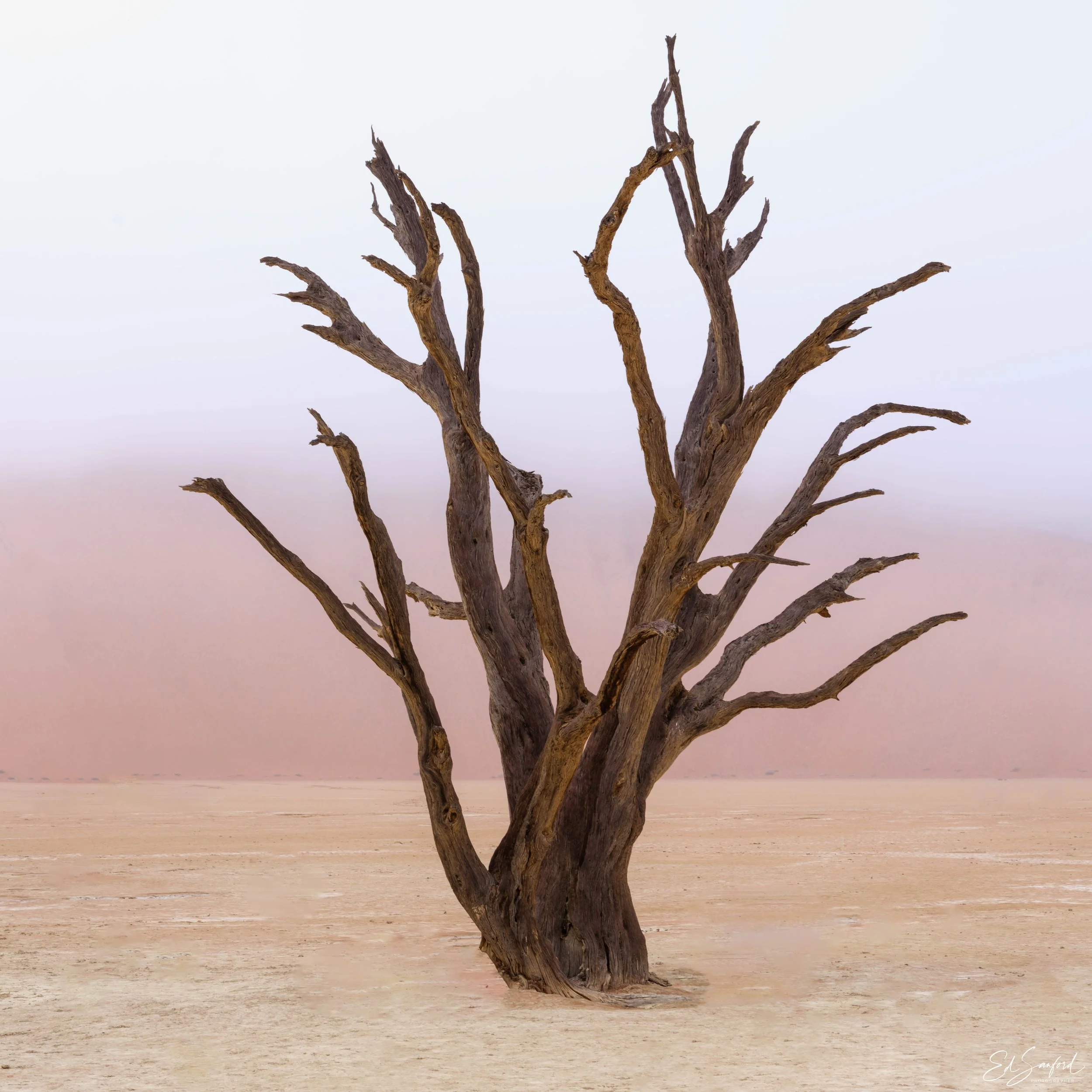 Dead Valley-19.jpg