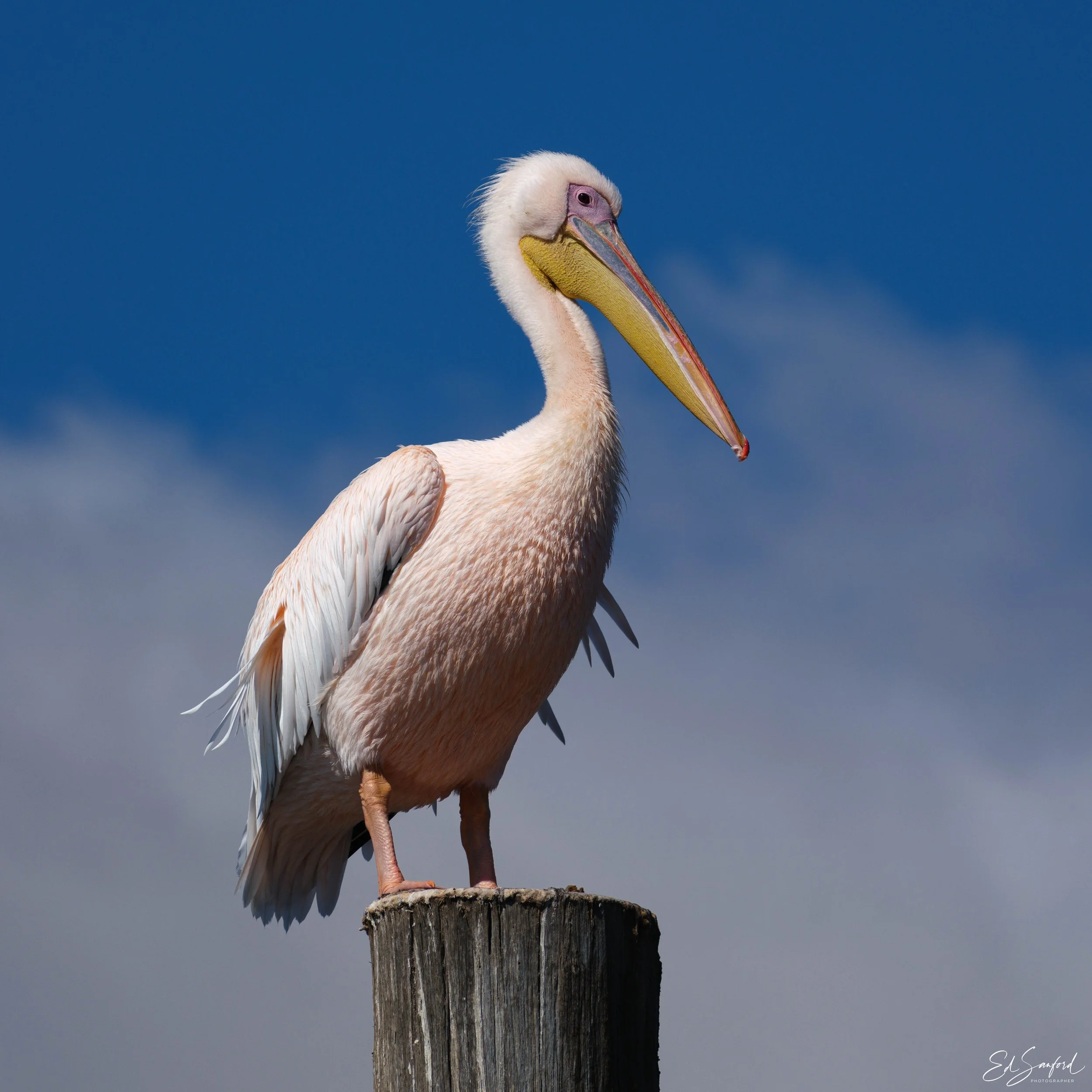 Walvis Bay Lagoon-2.jpg