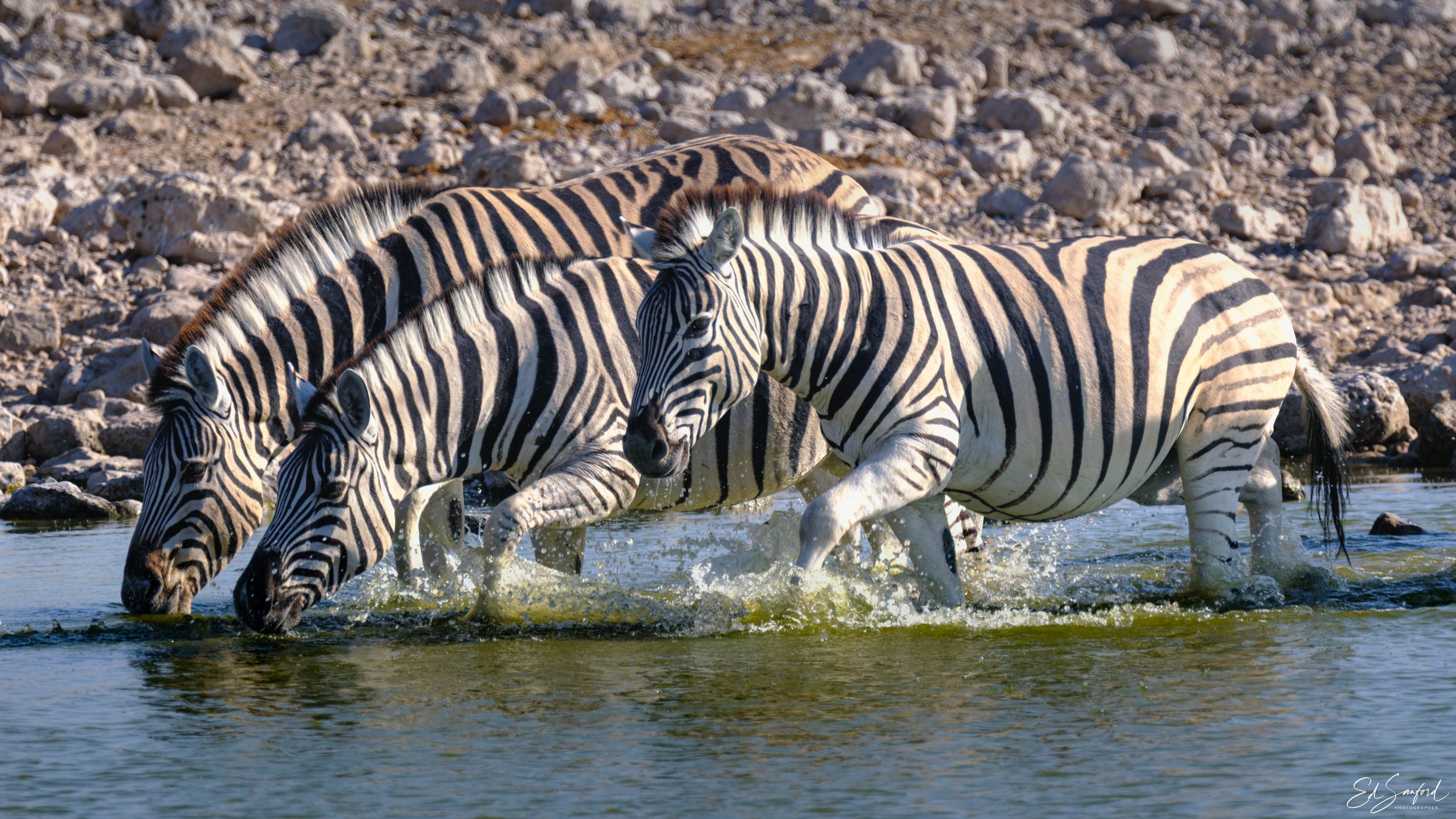 Etosha Wildlife Refuge-14.jpg