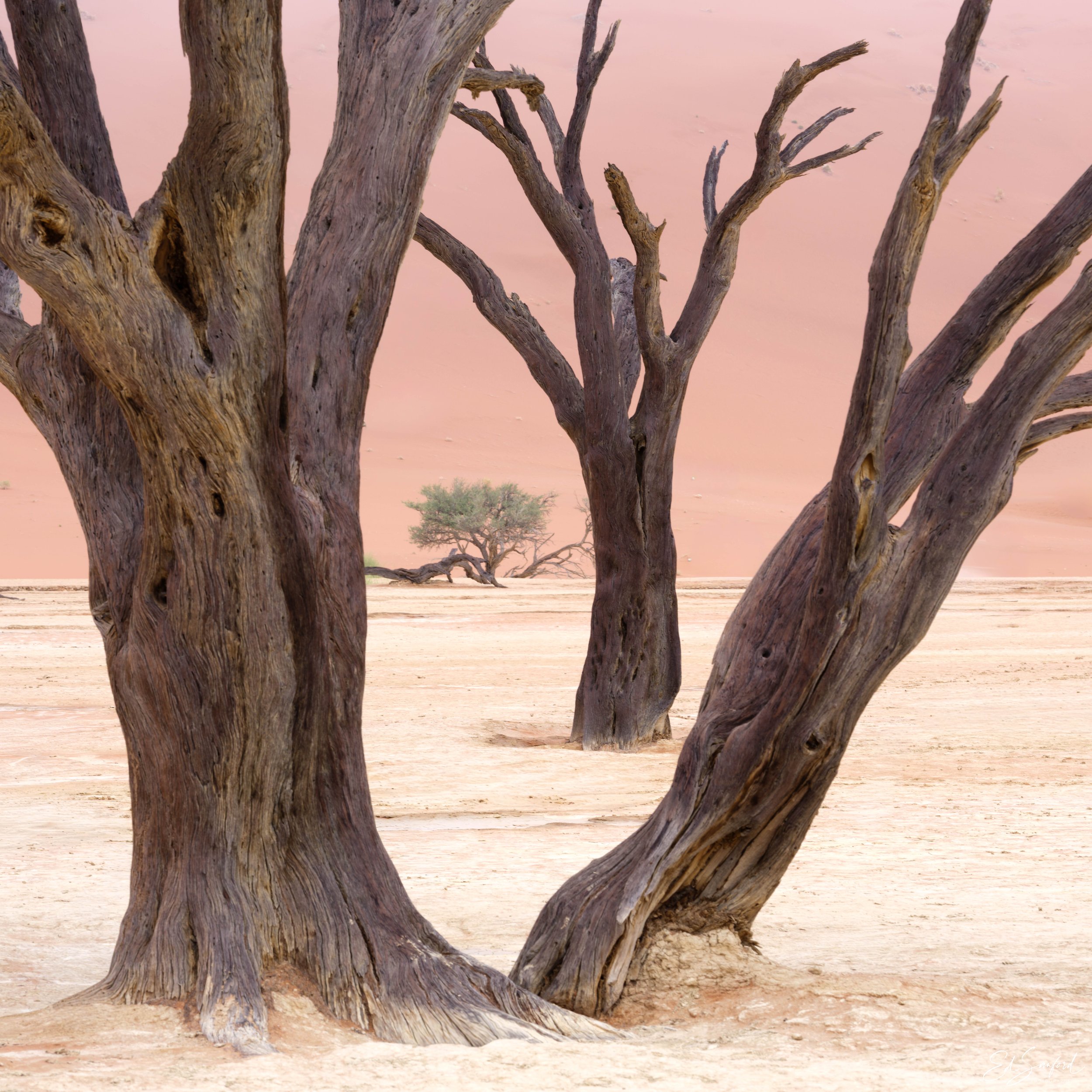 Dead Valley-18.jpg