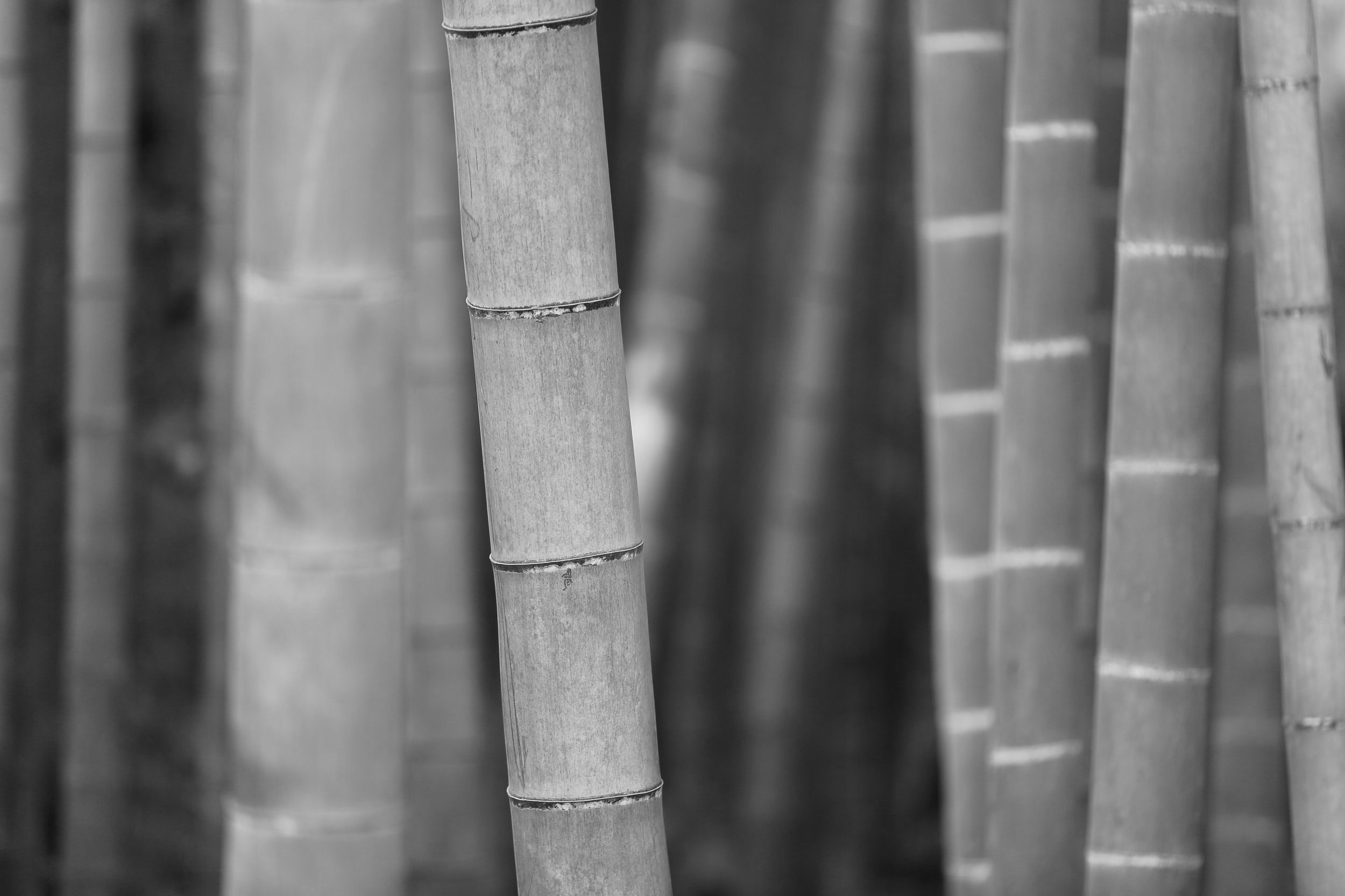 kazuend-28556-unsplash.jpg