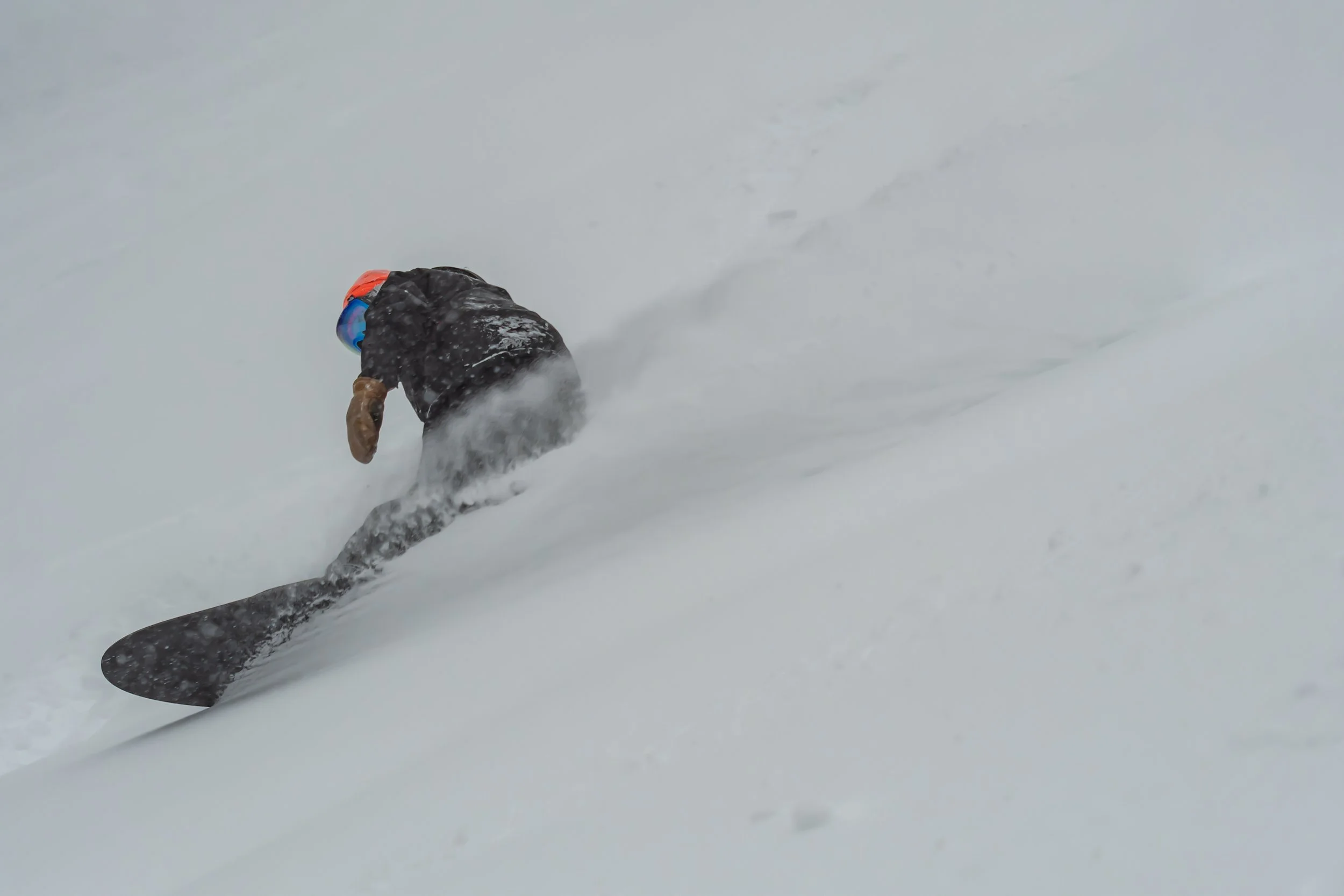 _DSC6330-2.jpg