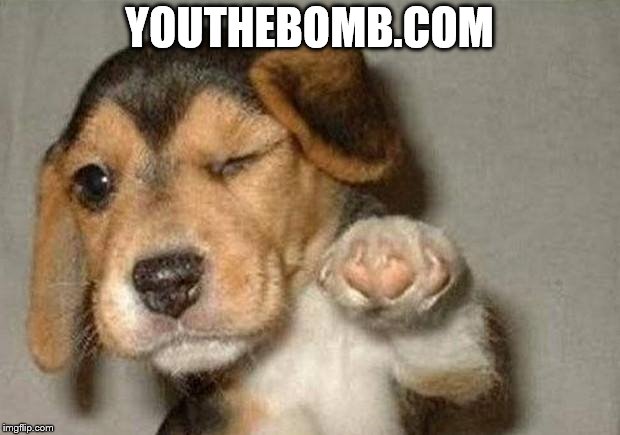 BOMB.COM.jpg
