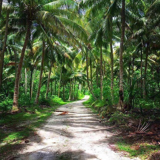 forest-path.jpg