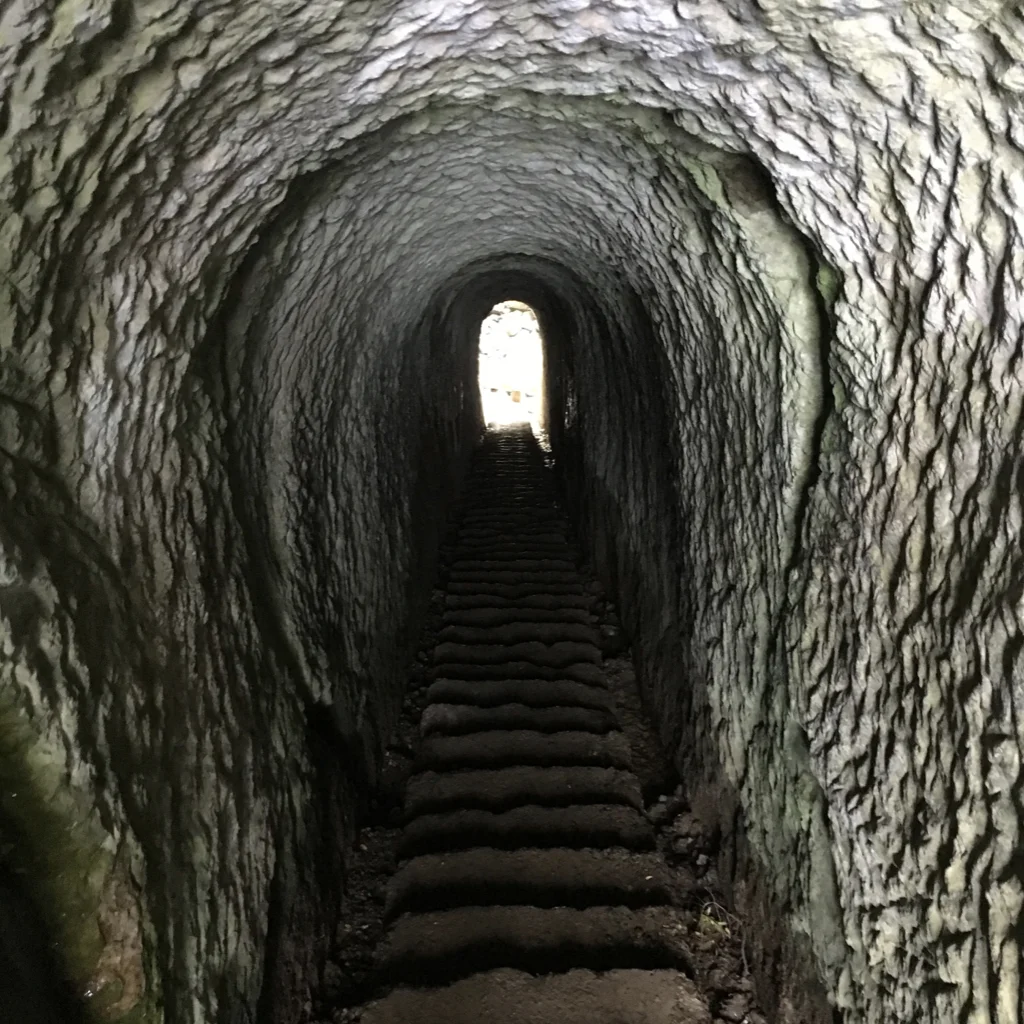 Maybe Baby #4: Hope, self-protection and the centre of reality