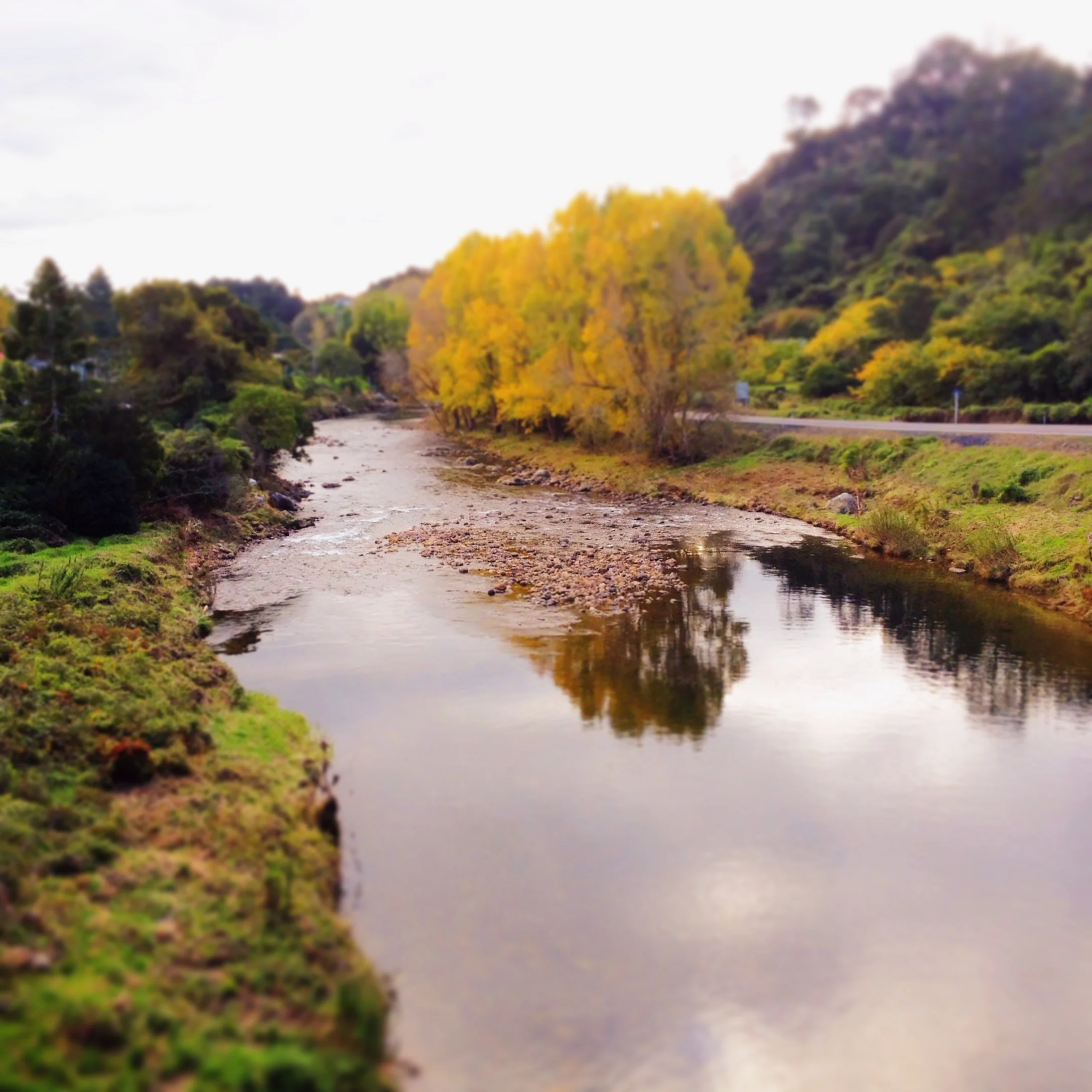 My 'ideal' self versus my 'true' self, and the truth in-between.