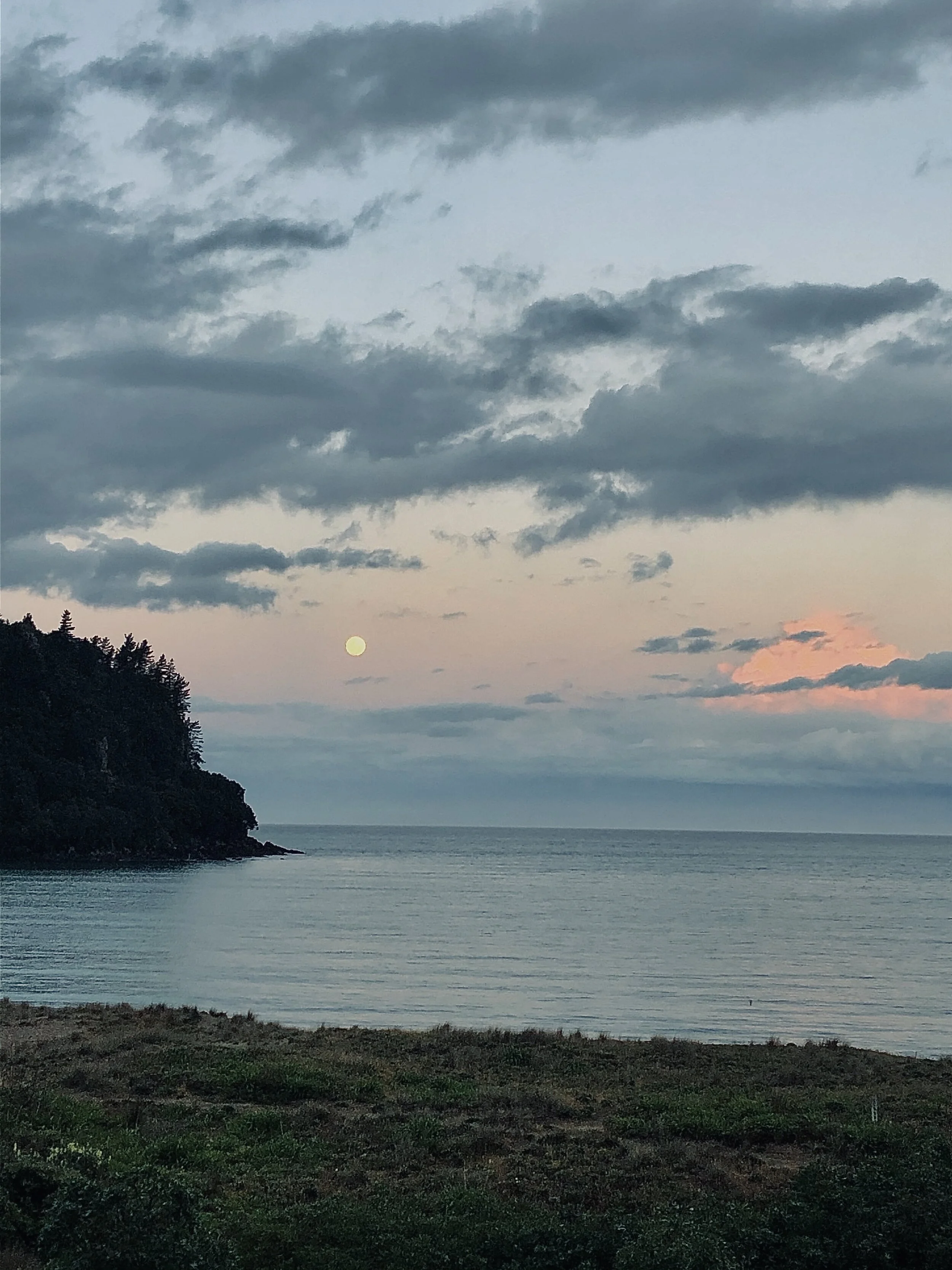 Advent is for weirdos (like me).