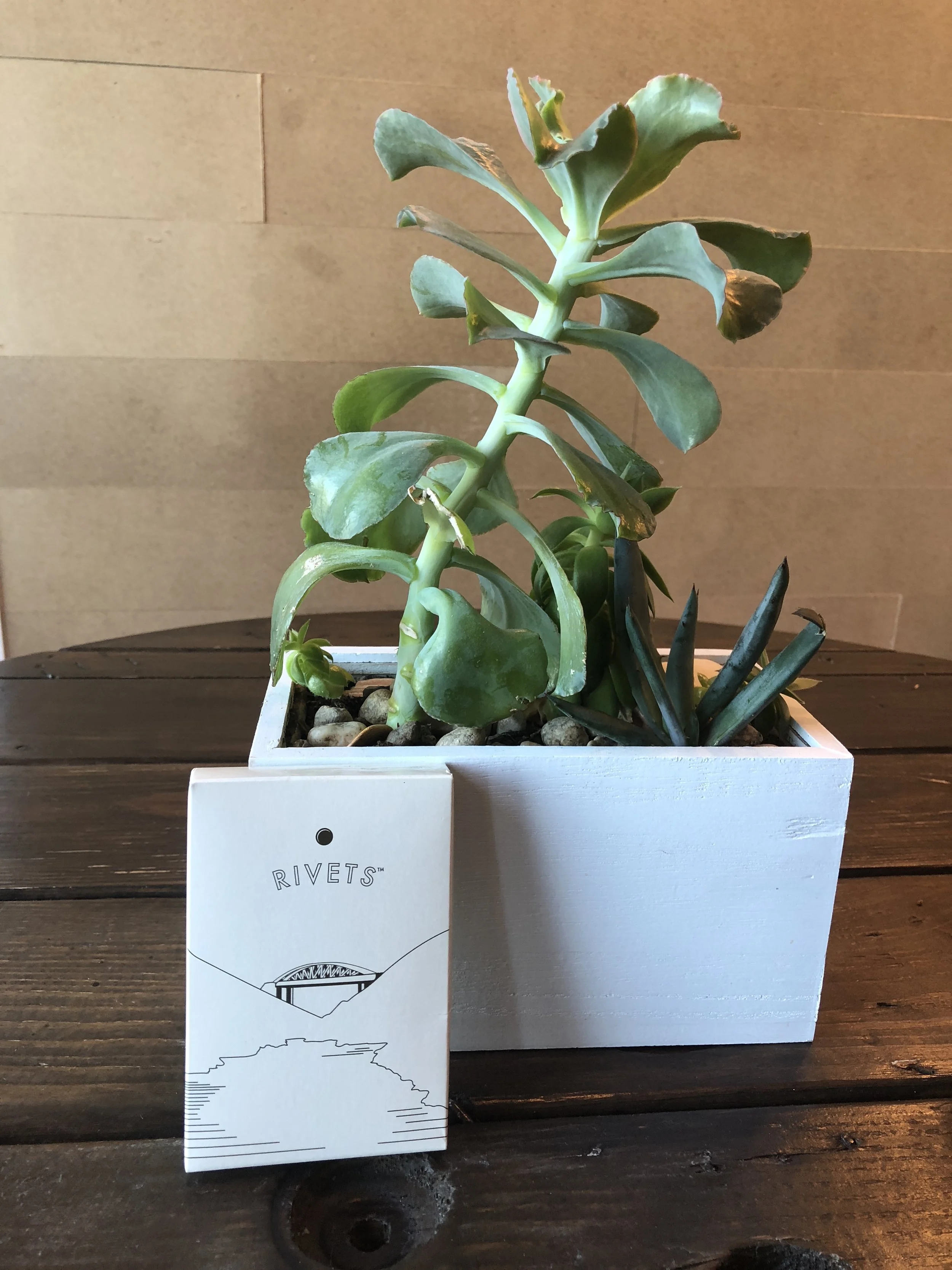 Rivets w plant 1JPG.jpeg