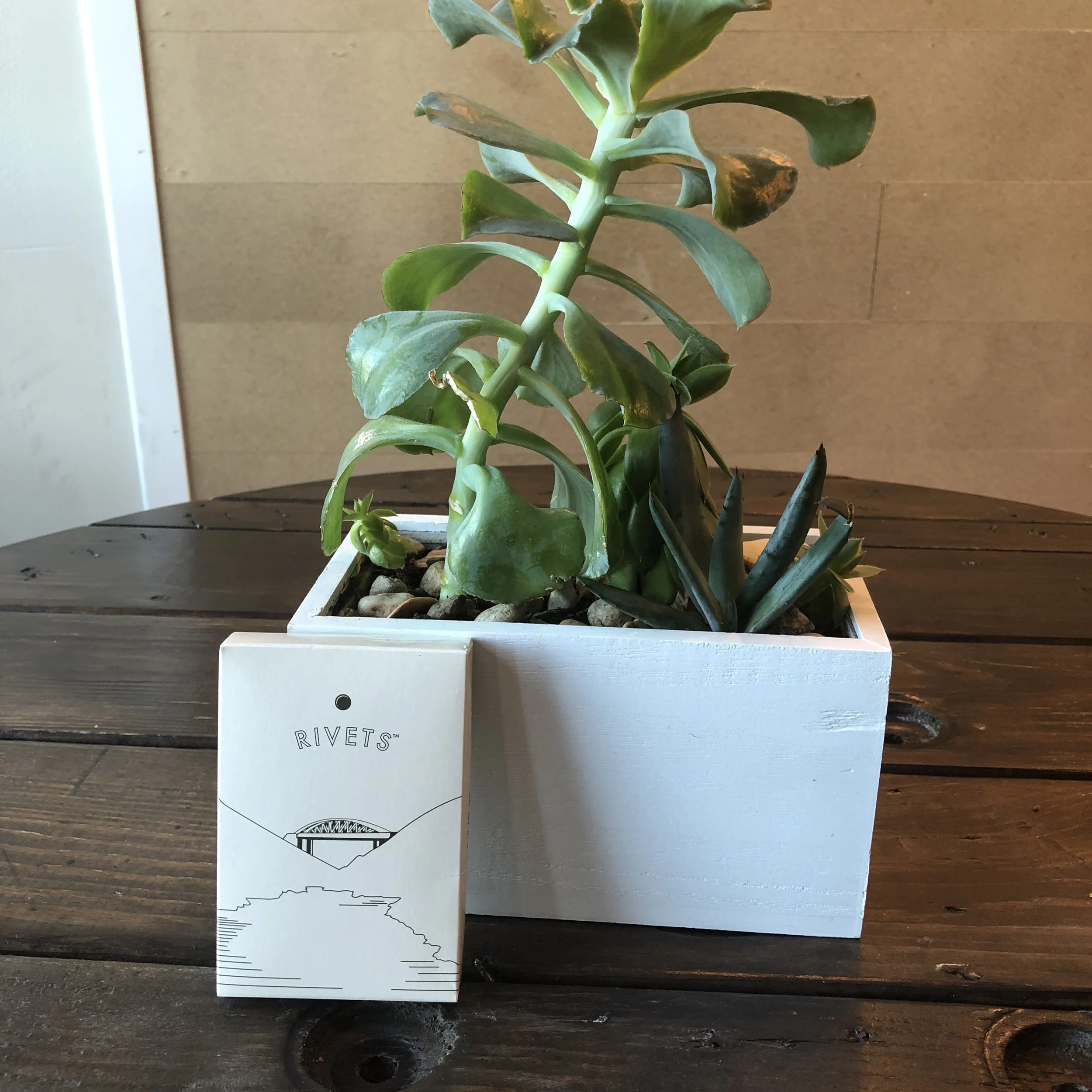 Rivets w plant 2.JPG