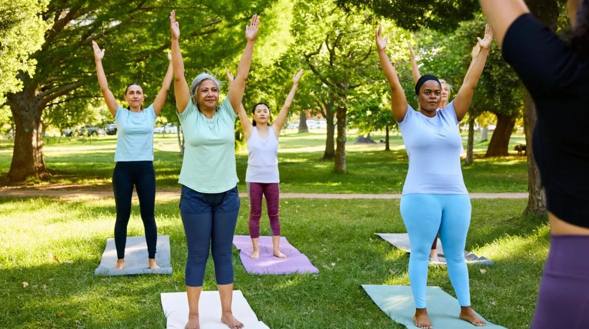 standing-urdhva-mountain-pose-park