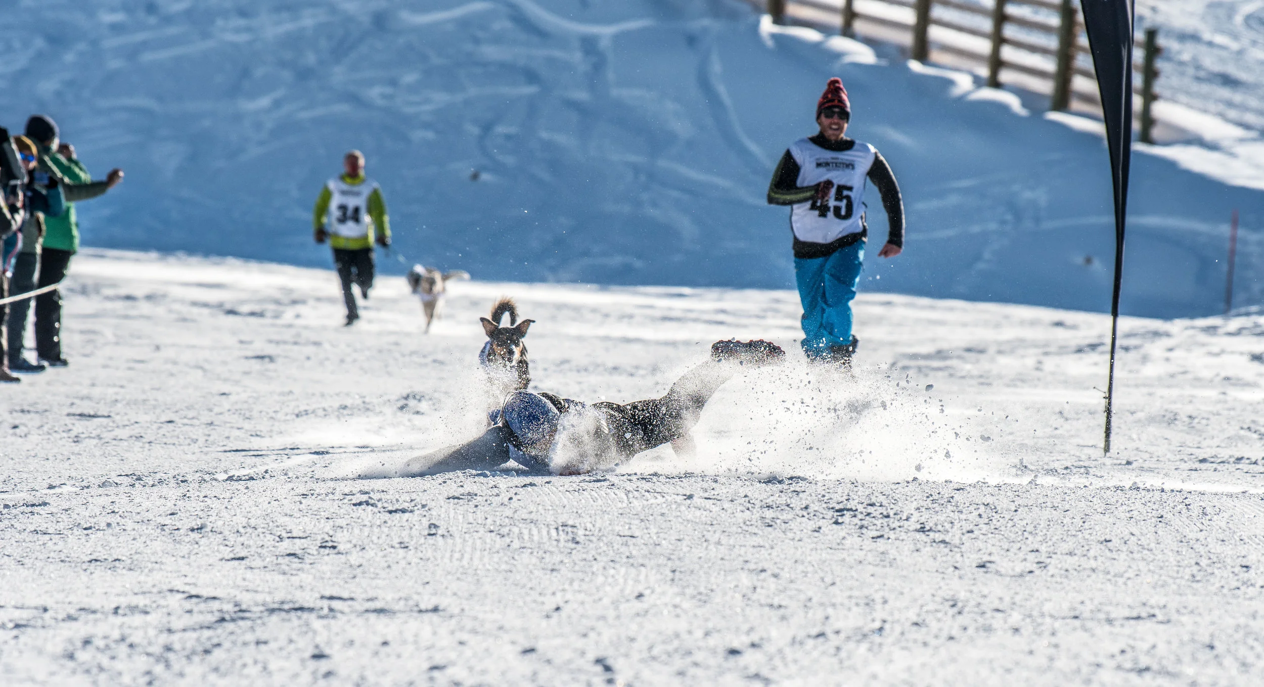RJQWF2019 Monteith’s Dog Derby Sb-08.jpg