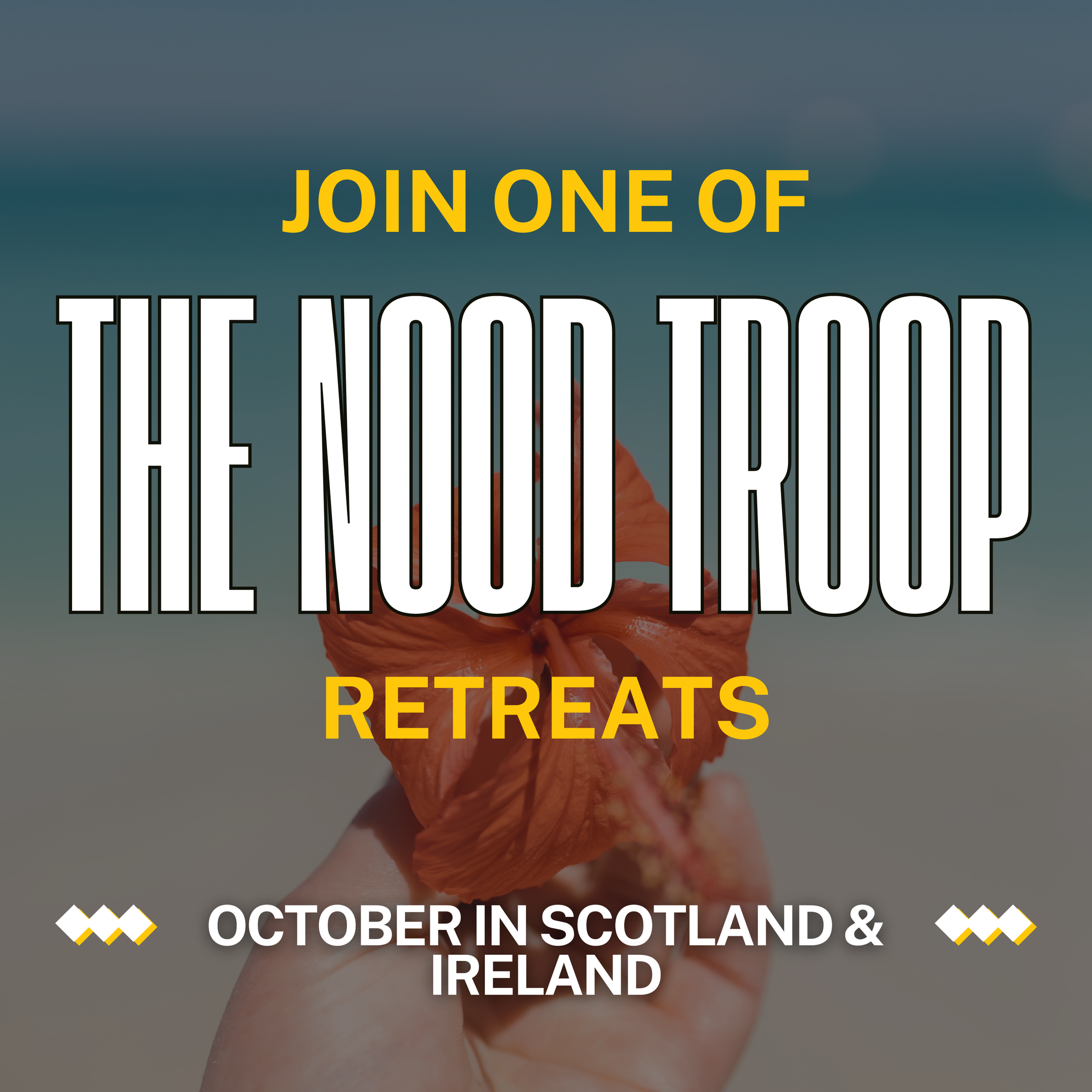 The Nood Troop - Raleigh Boudoir Photographer 00002.png