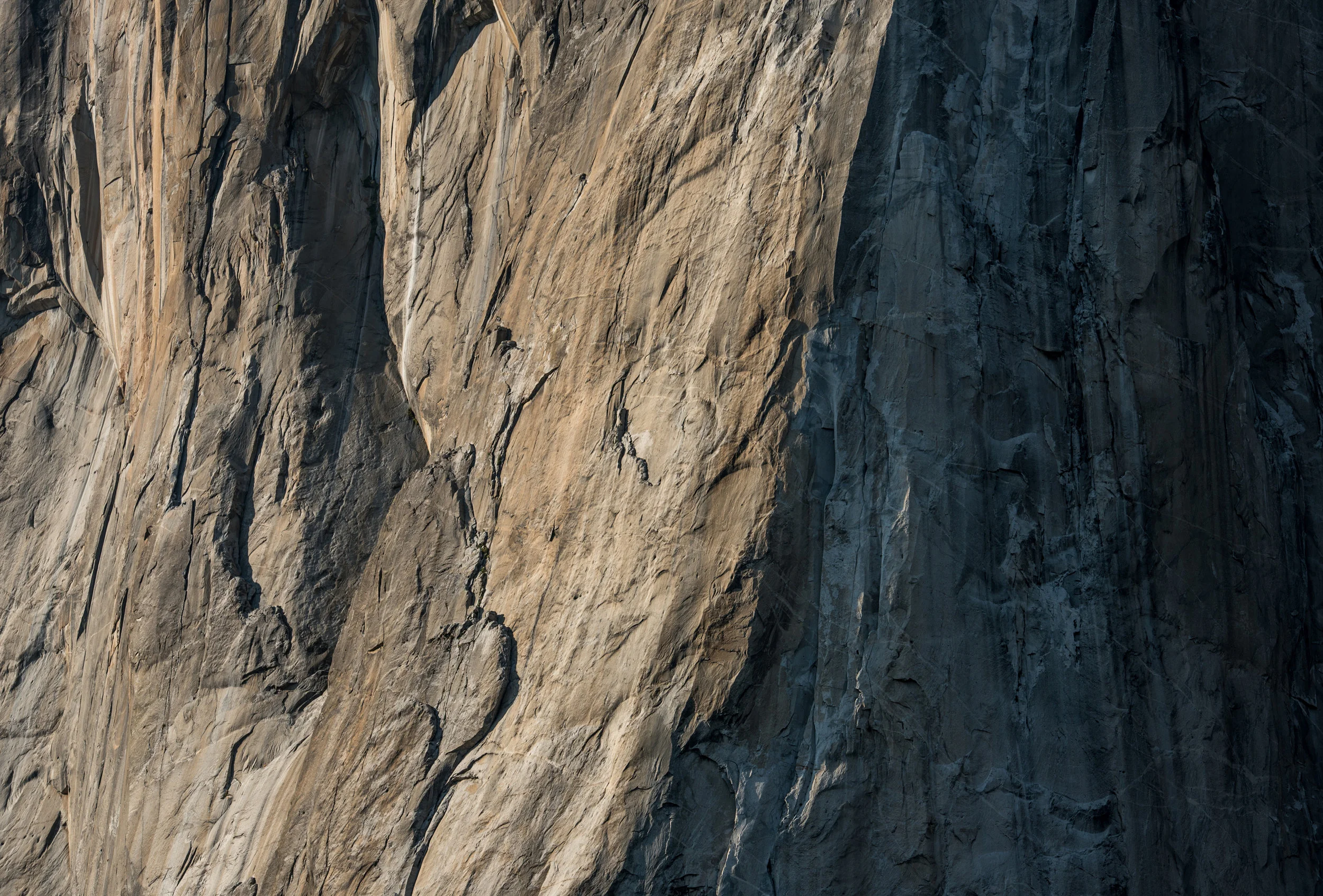 IG - El Cap Close - 6859.jpg