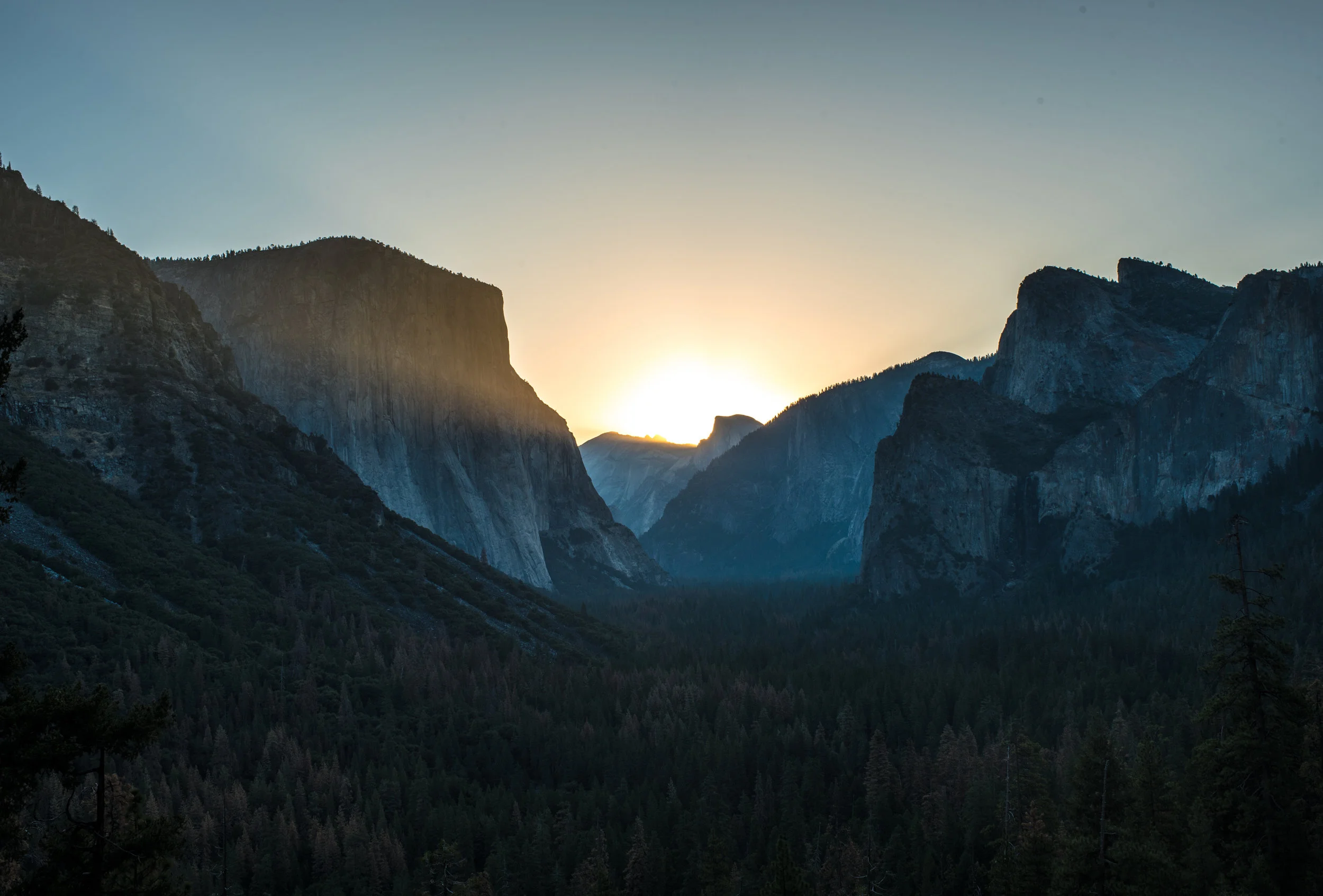 DSC_7525 DAWN 2x3.jpg