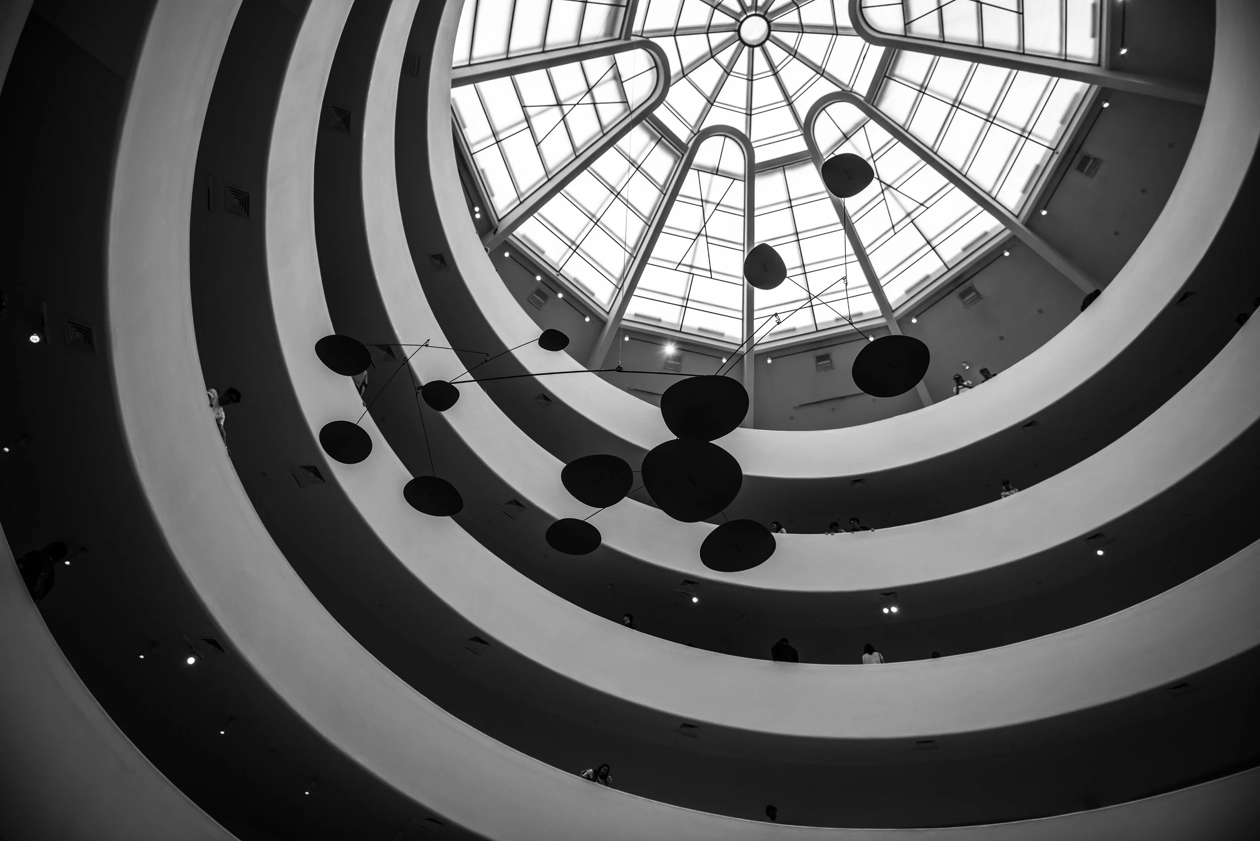 Belize 2017-8823.jpg