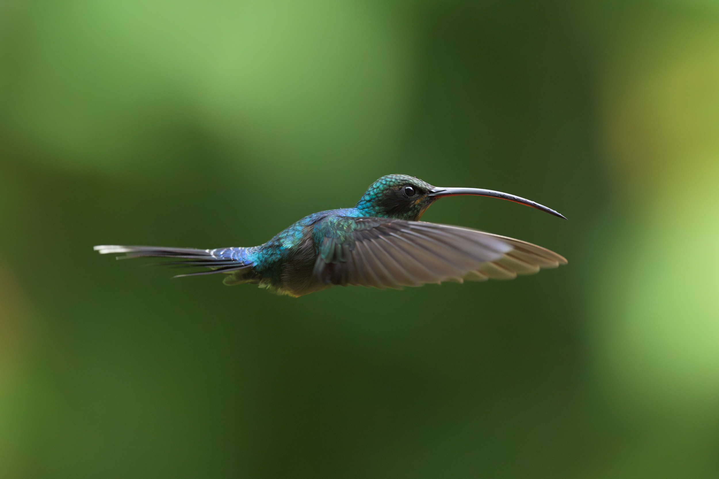 CR-HQ-8823 copy2.png