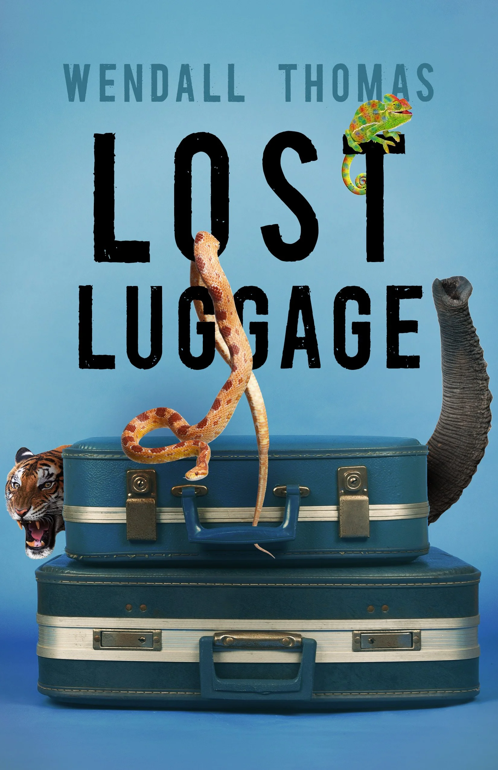 Honored to find LOST LUGGAGE on a list of "Ten Books Too Good To Review Properly."