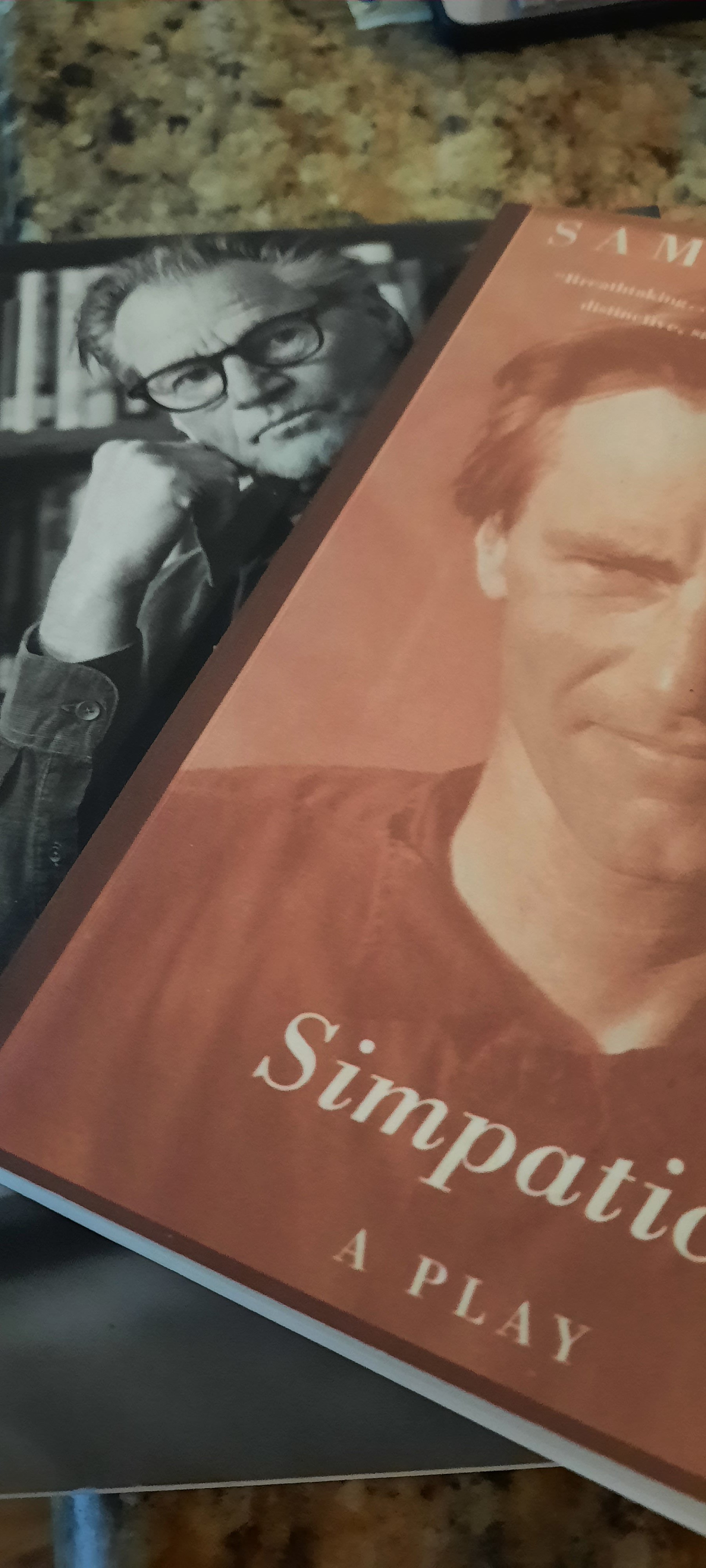 Revisiting this post from Murder is Everywhere on Sam Shepard's birthday