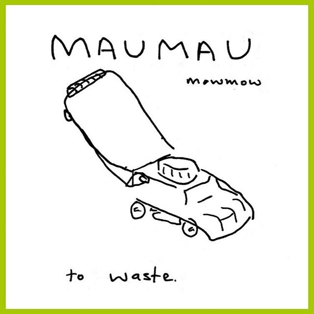 mowmow = maumau! Staying on the 'au' vowel sounds today whanau. It's one we find quite tricky to switch over to. Just remember: see an A and a U together it makes a strong english 'O' sound. Here's a phrase to practice: 'kaua e maumau kai' pronounced
