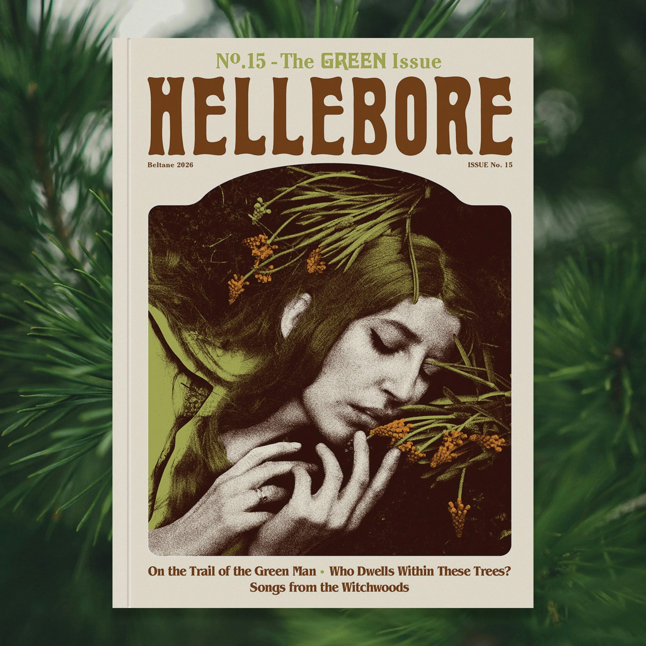 Hellebore-15-Cover-for-Web.jpg
