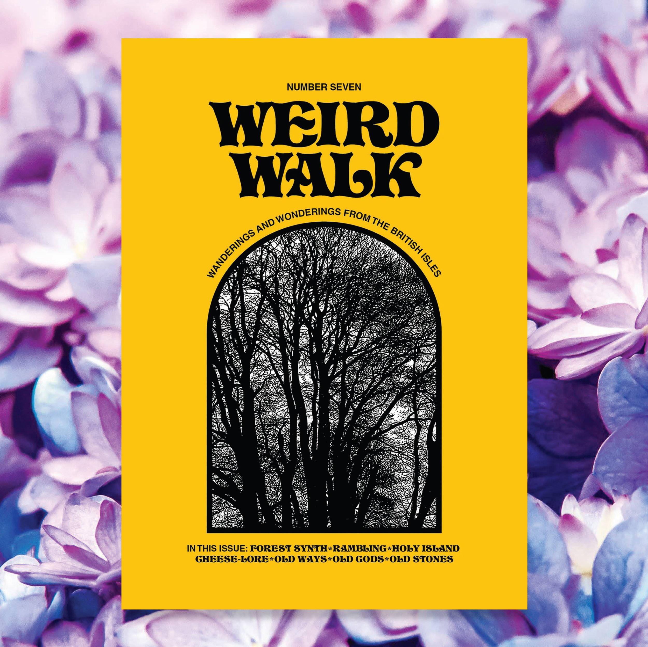 Weird-Walk-7---On-Background.jpg