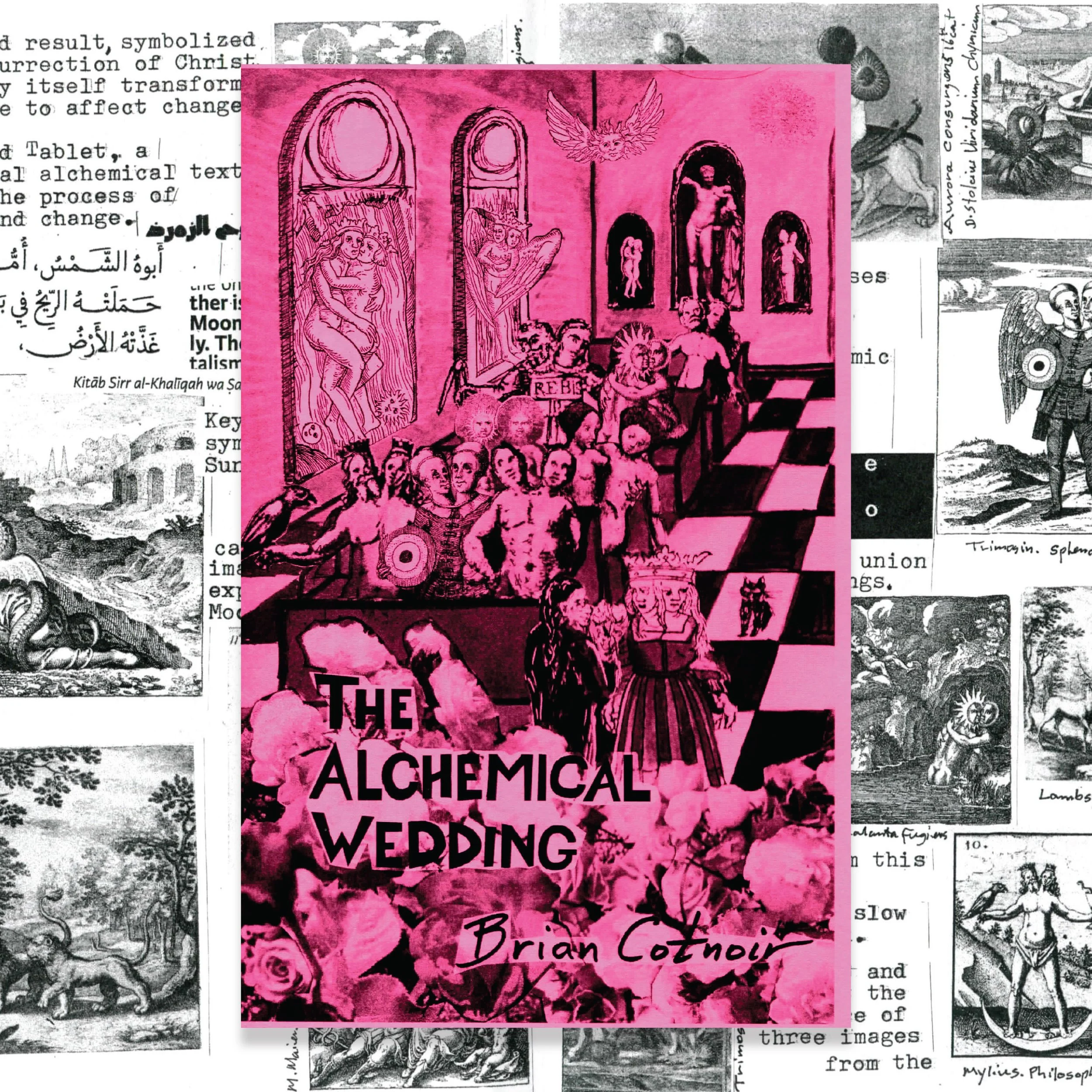 Brian-Cotnoir-Zine-5-on-Background.jpg